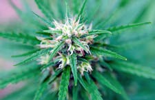 An overview of the promotion! image