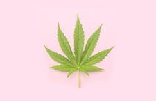 10% Senior Discount image