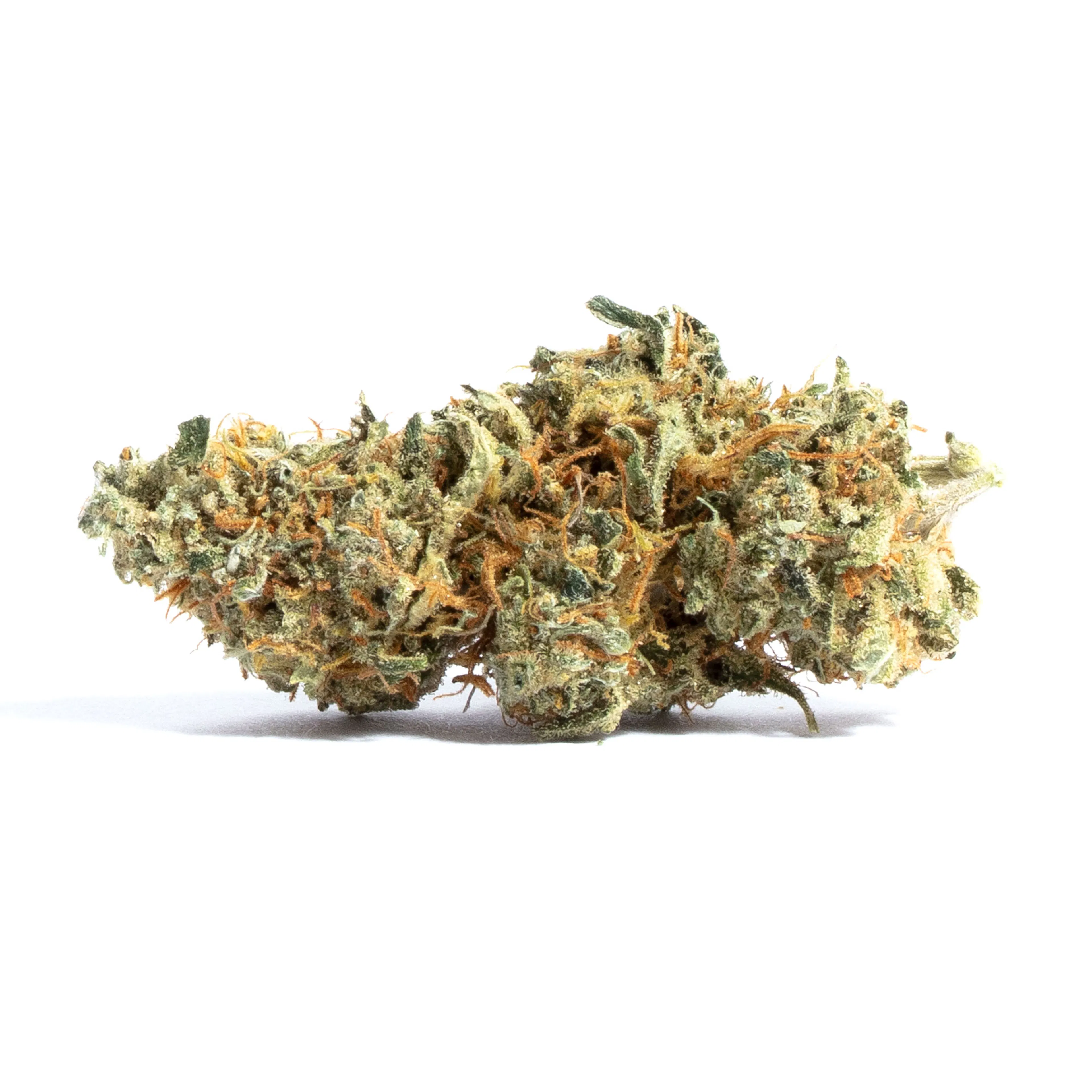 Picture of Amnesia