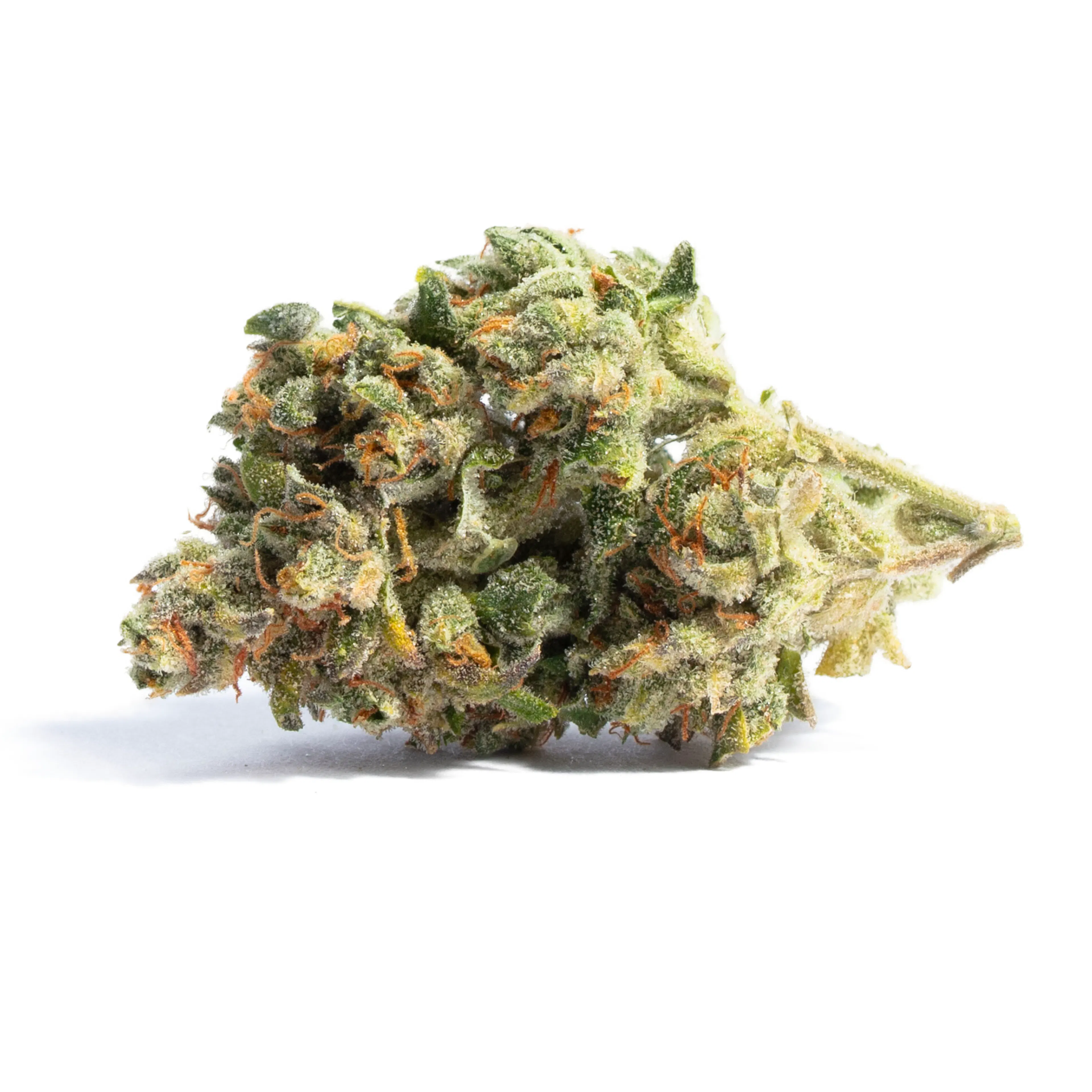 Picture of Acapulco Gold