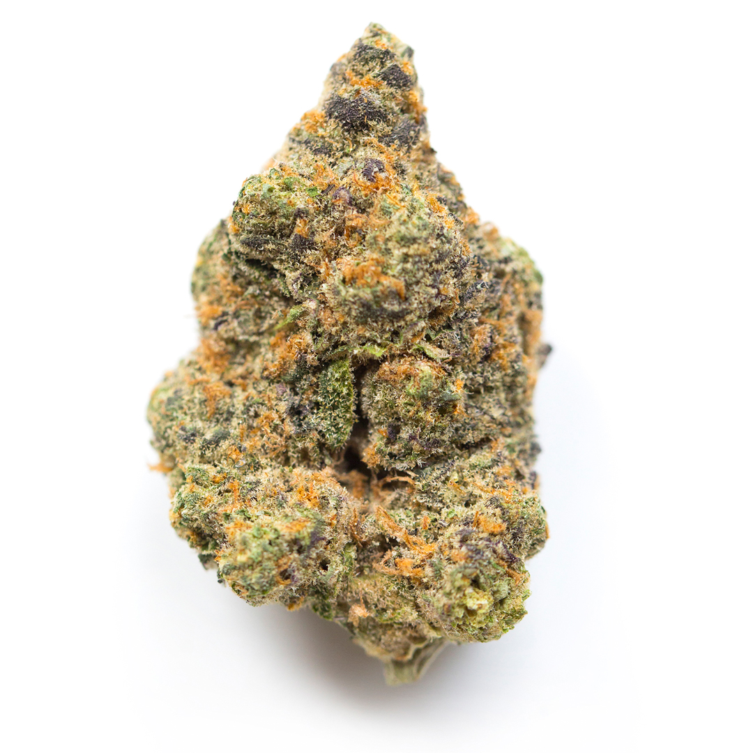 Animal Cookies