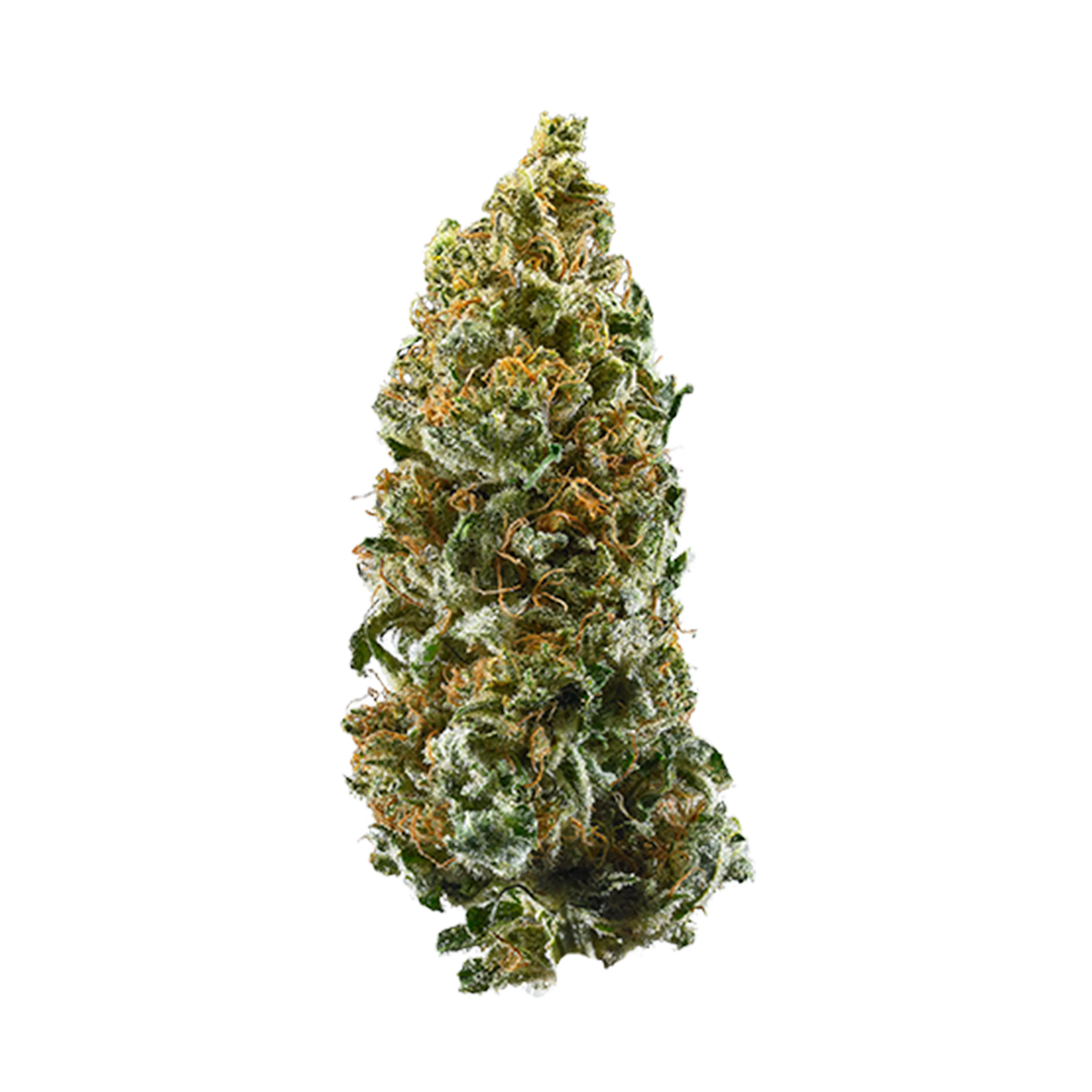Picture of Cannatonic