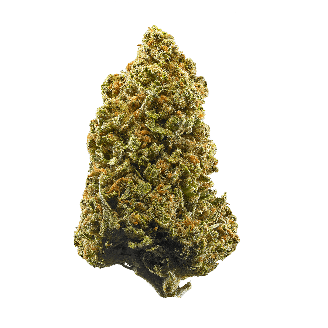 Strawberry Glue Weed Strain Information | Leafly