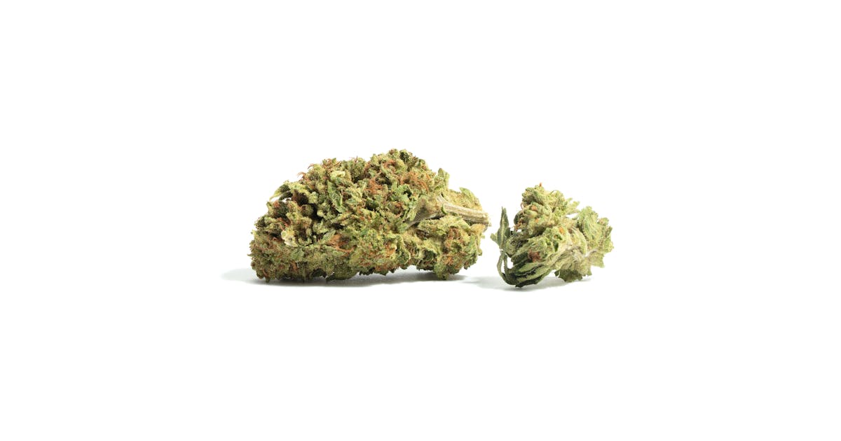 Highlights - South Florida OG x Gelato 25 Cured Resin Badder Chips - 1g - San Diego, Vista & Imperial Cannabis Dispensary with Delivery - March and Ash