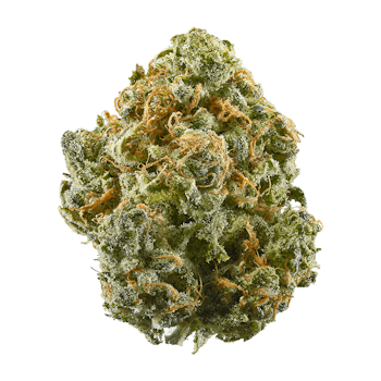A nug of Lust cannabis strain from Leafly