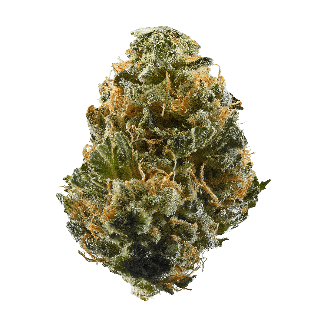 Sour Patch Kiss Weed Strain Information Leafly