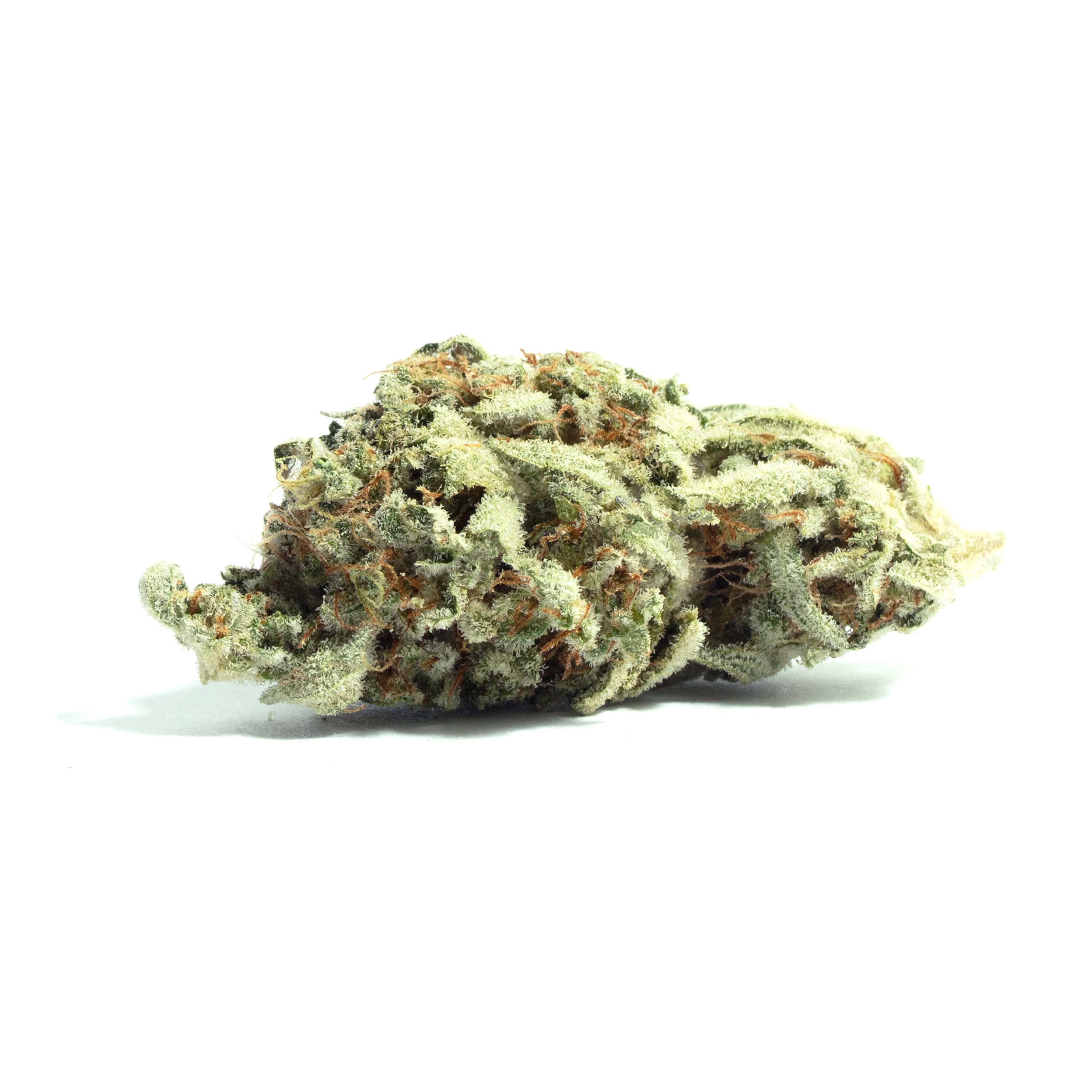 Picture of Orange Fuel