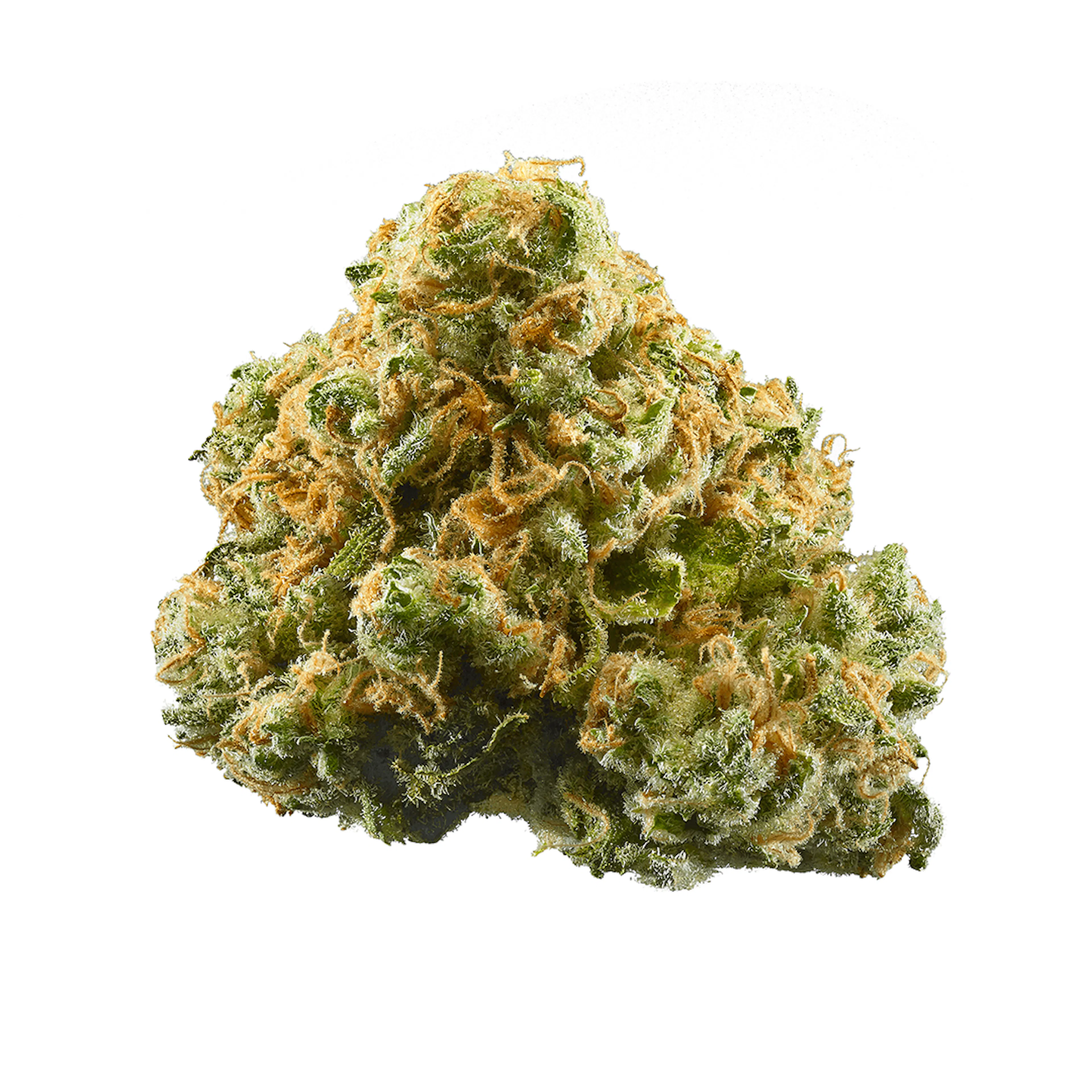 Picture of Critical Haze