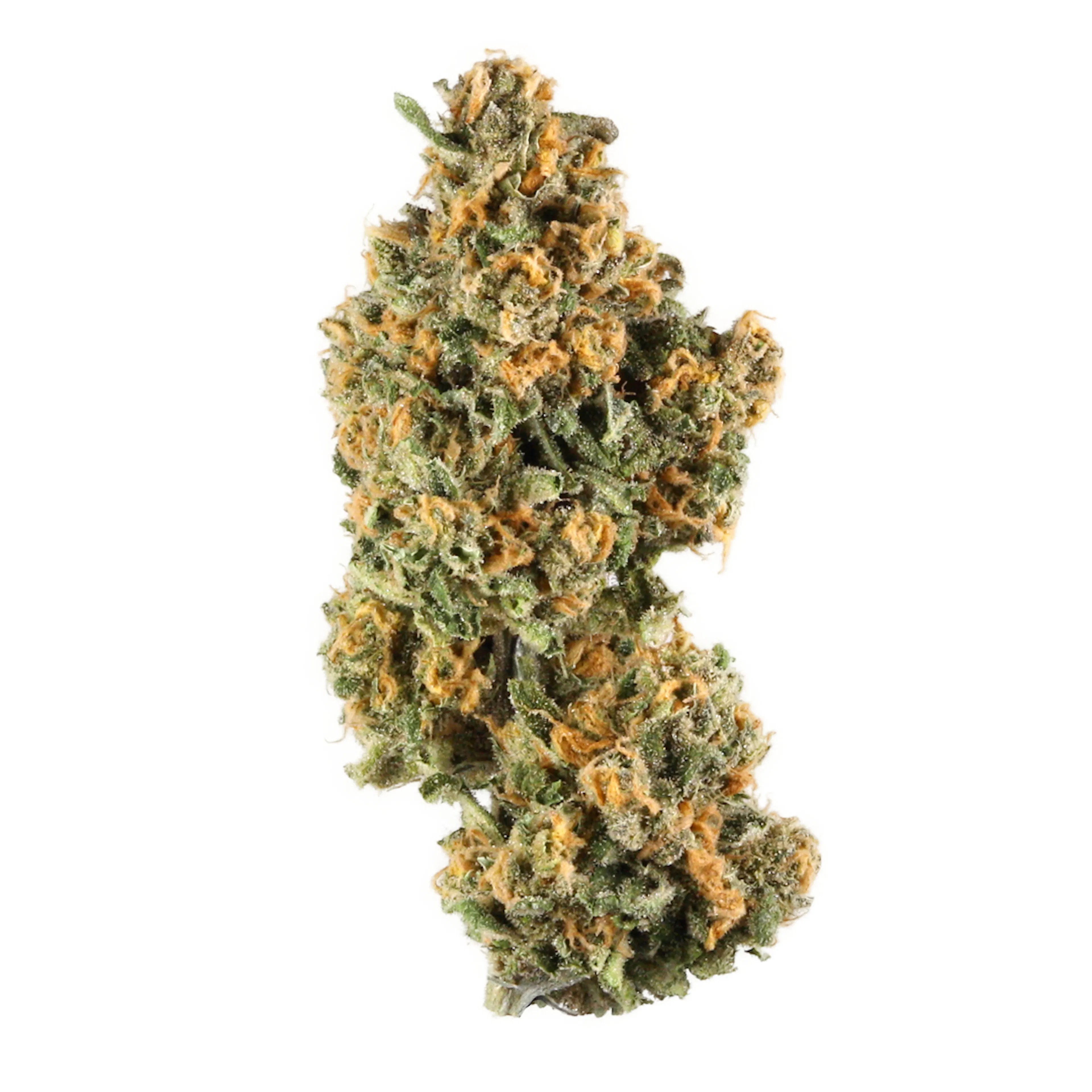 Picture of Paris OG