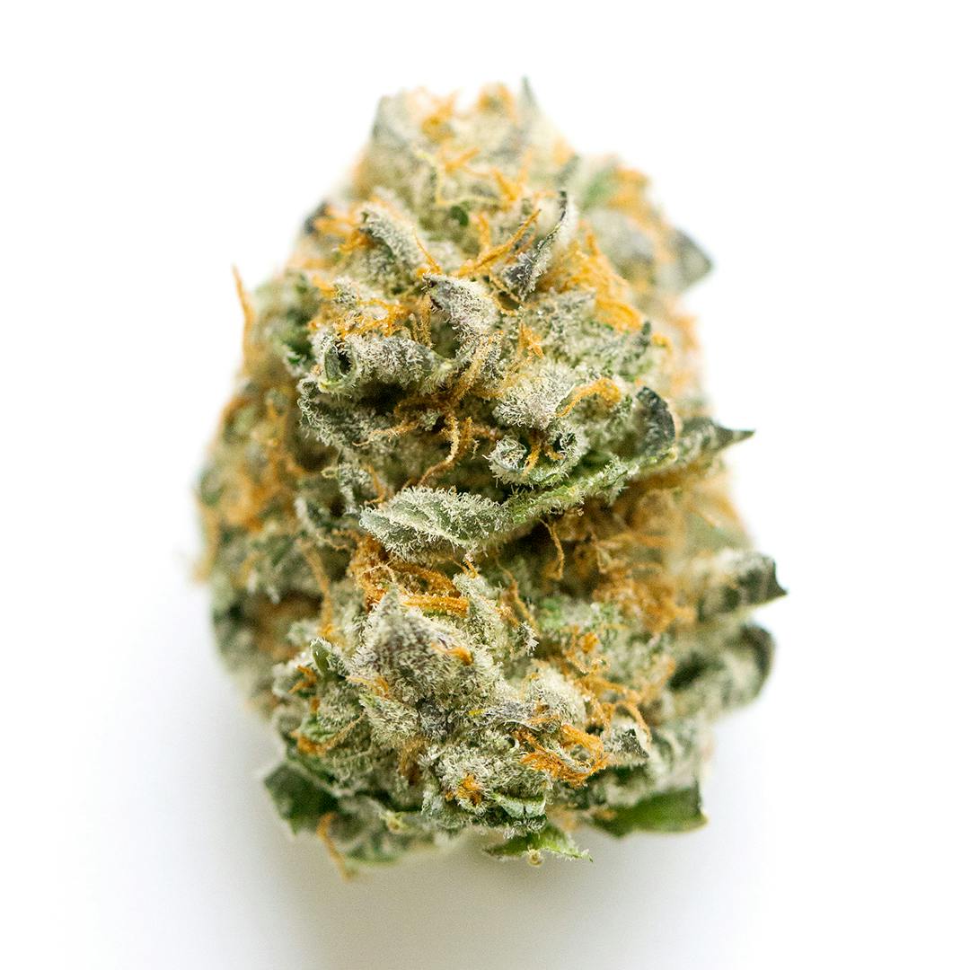 Jet Fuel Gelato aka Jetlato Weed Strain Information Leafly