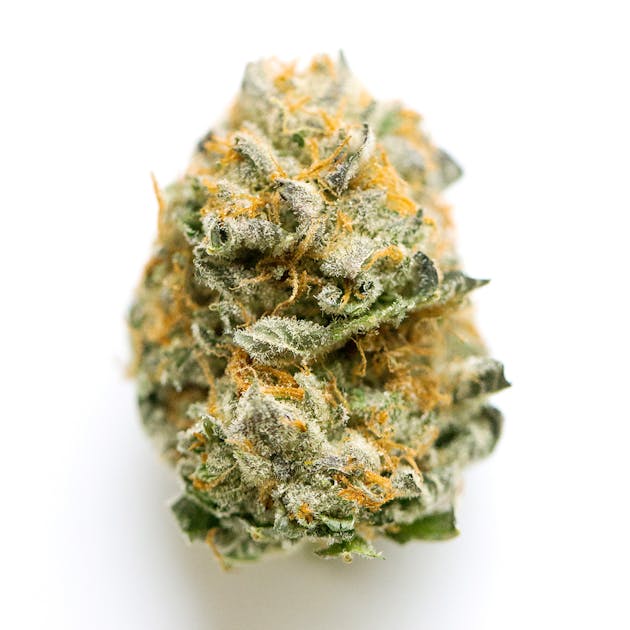 Santa Maria (No Mercy Supply) :: Cannabis Strain Info