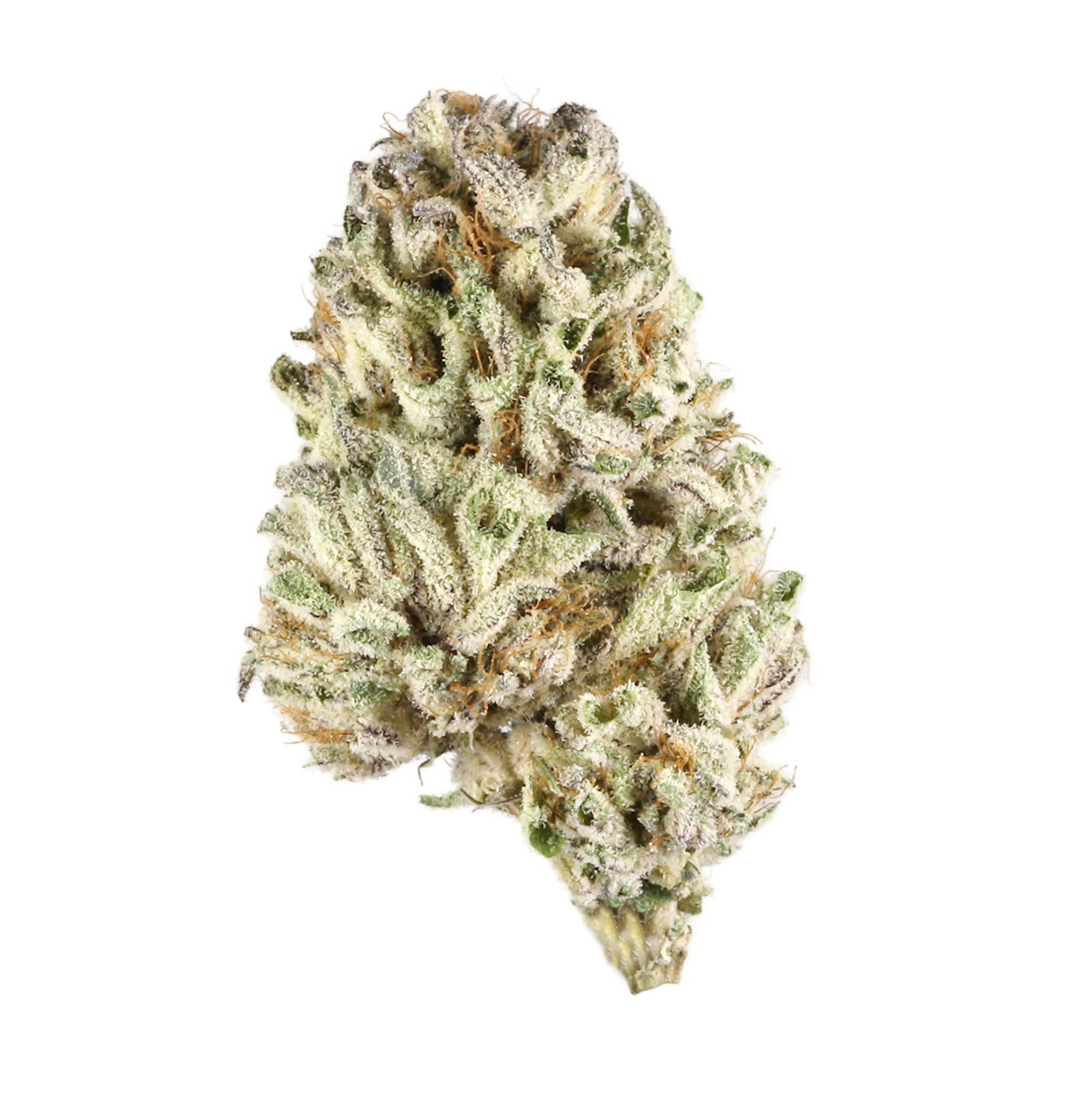 Picture of Cali Gas