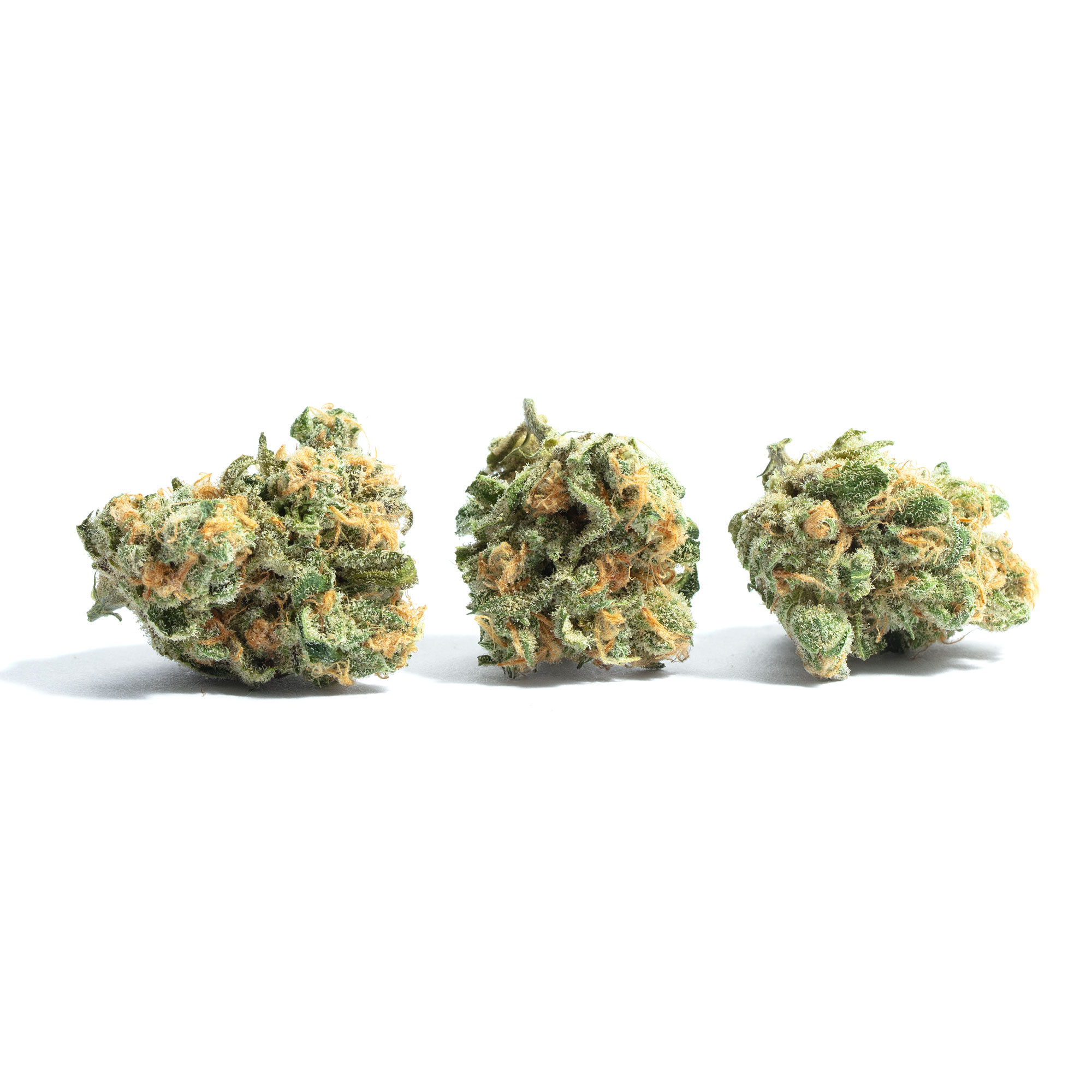 Sour Joker aka Joker Weed Strain Information | Leafly