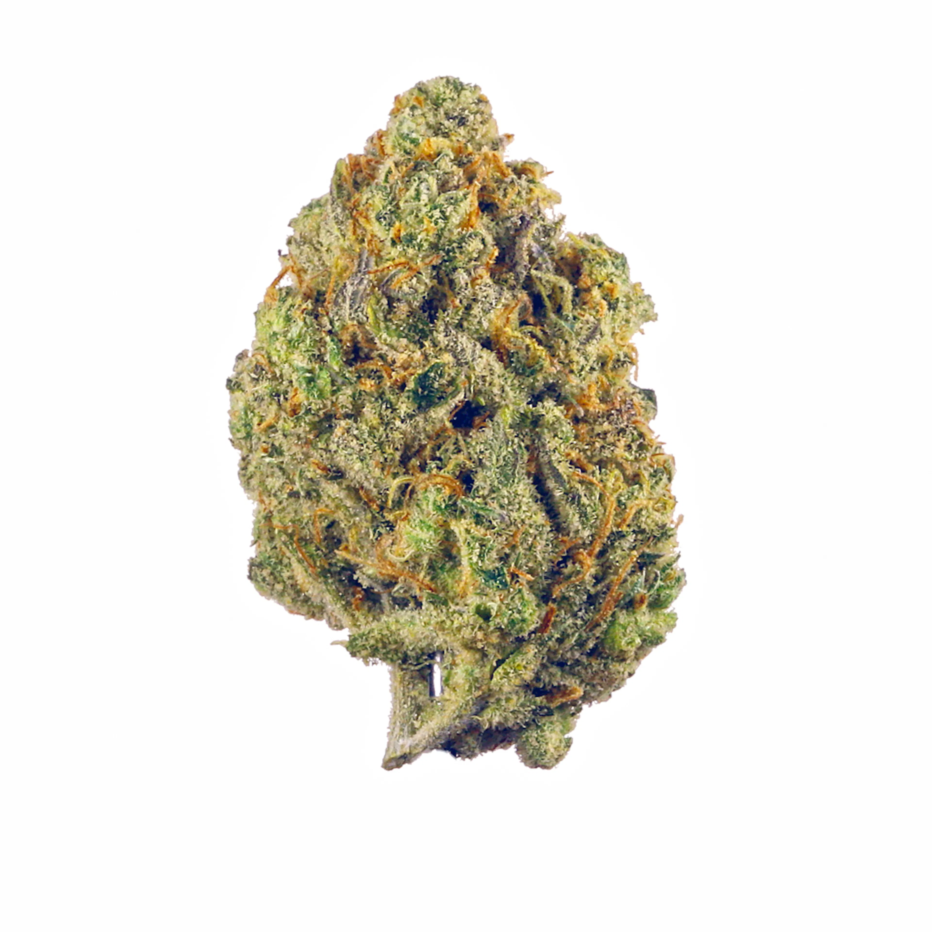 Picture of Pink Gelato