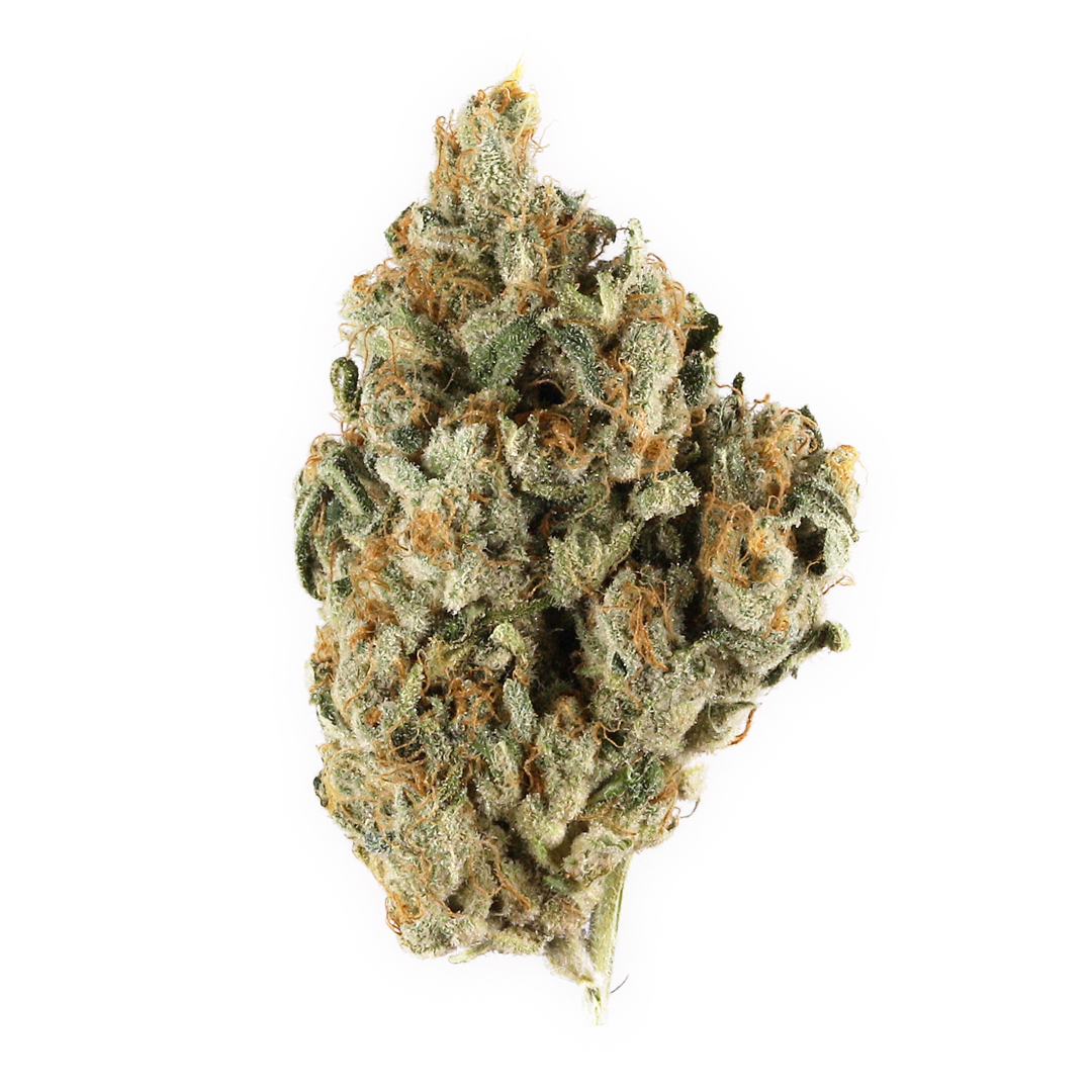 Strain Spotlight: Gorilla Glue