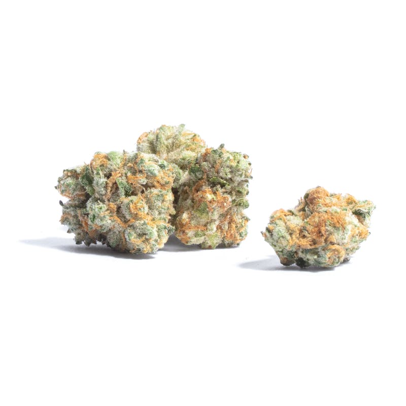 Jack Herer THCa flower strain