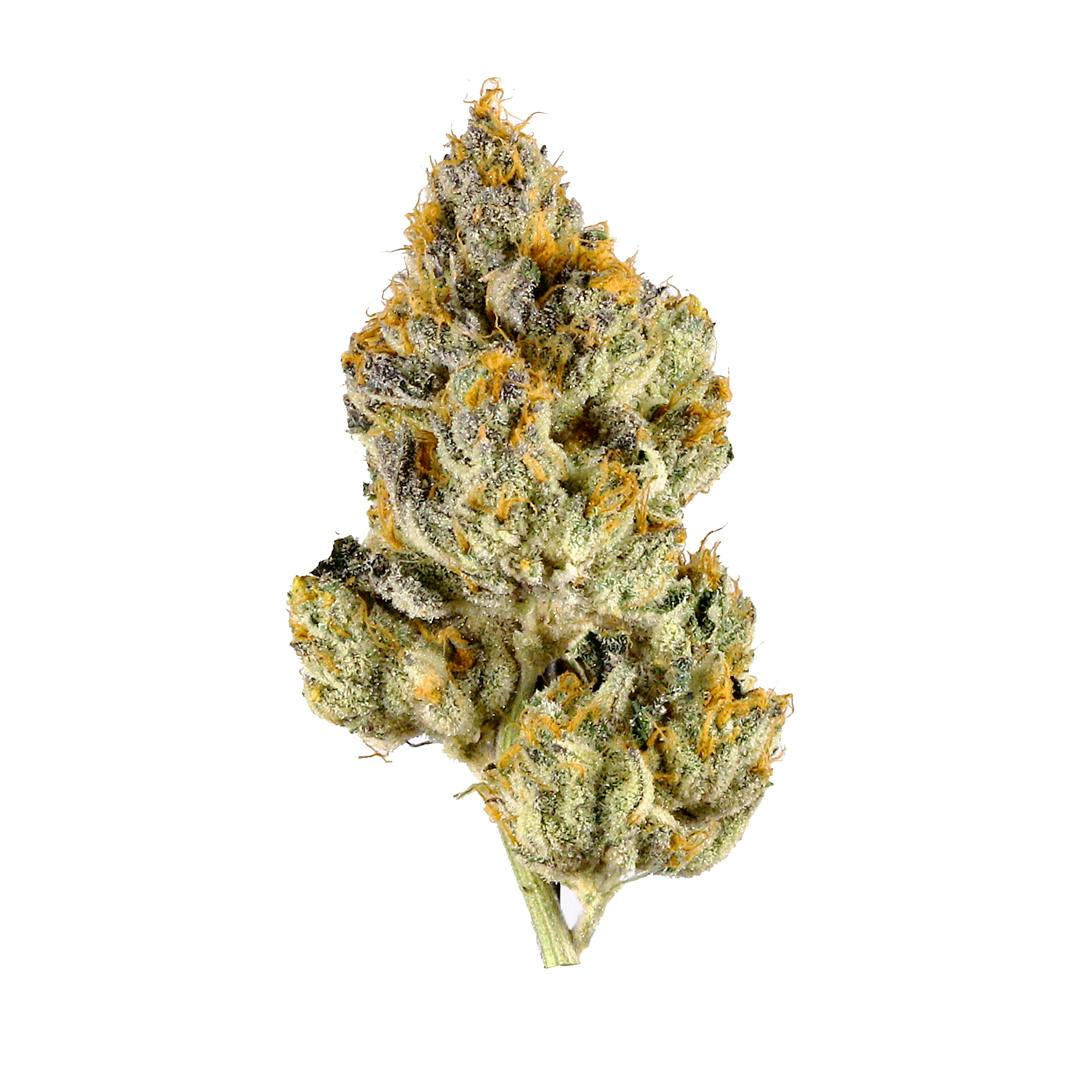 Skunk 1 aka Skunk No. 1, Skunk, Skunk #1 Weed Strain Information | Leafly