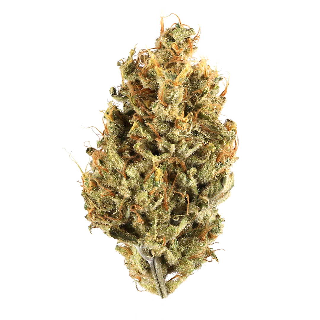 Gushers aka White Gushers Weed Strain Information | Leafly
