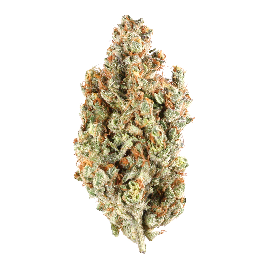 Buy Cali Bubba Kush | Buy Weed Canada | Bulk Buddy Dispensary