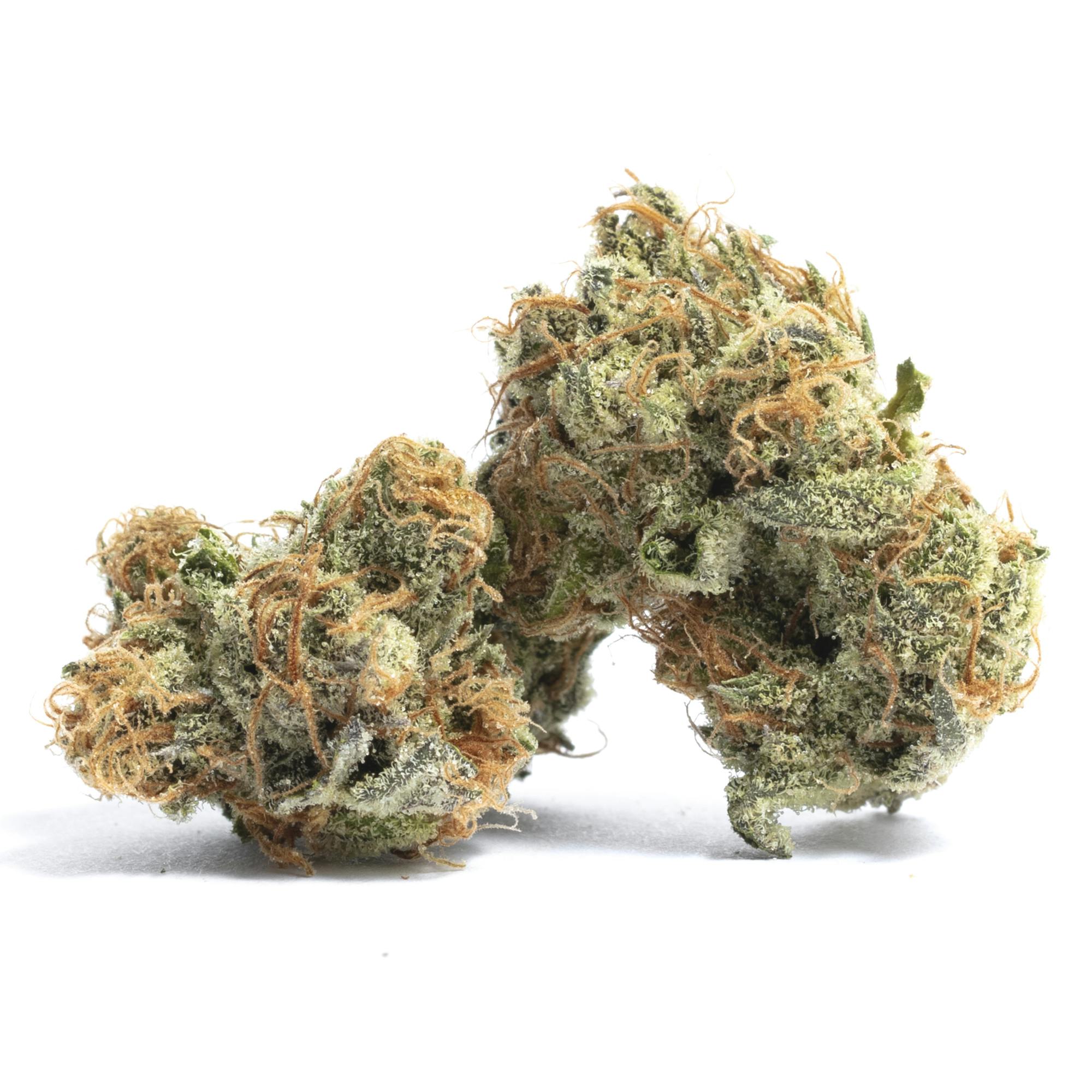 GovernMint Oasis Weed Strain Information | Leafly