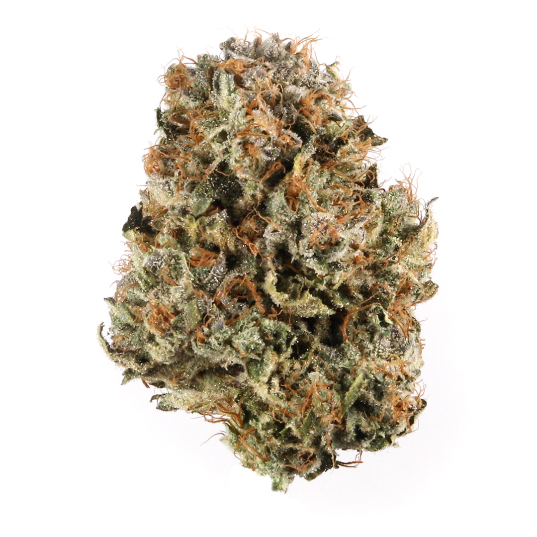 Purple Panty Dropper Marijuana Strain Information & Reviews