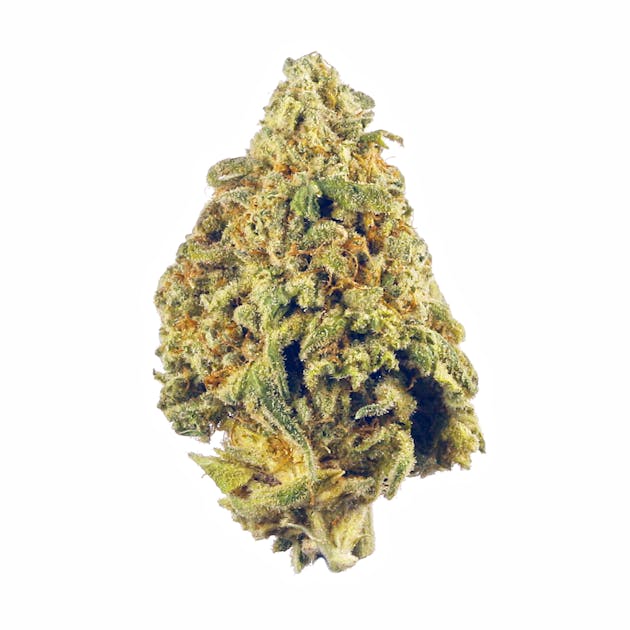 Snowman Cookies - DiamondTREE - Madras - Medical Marijuana Menu - Medicinal  Cannabis Pot Weed Directory