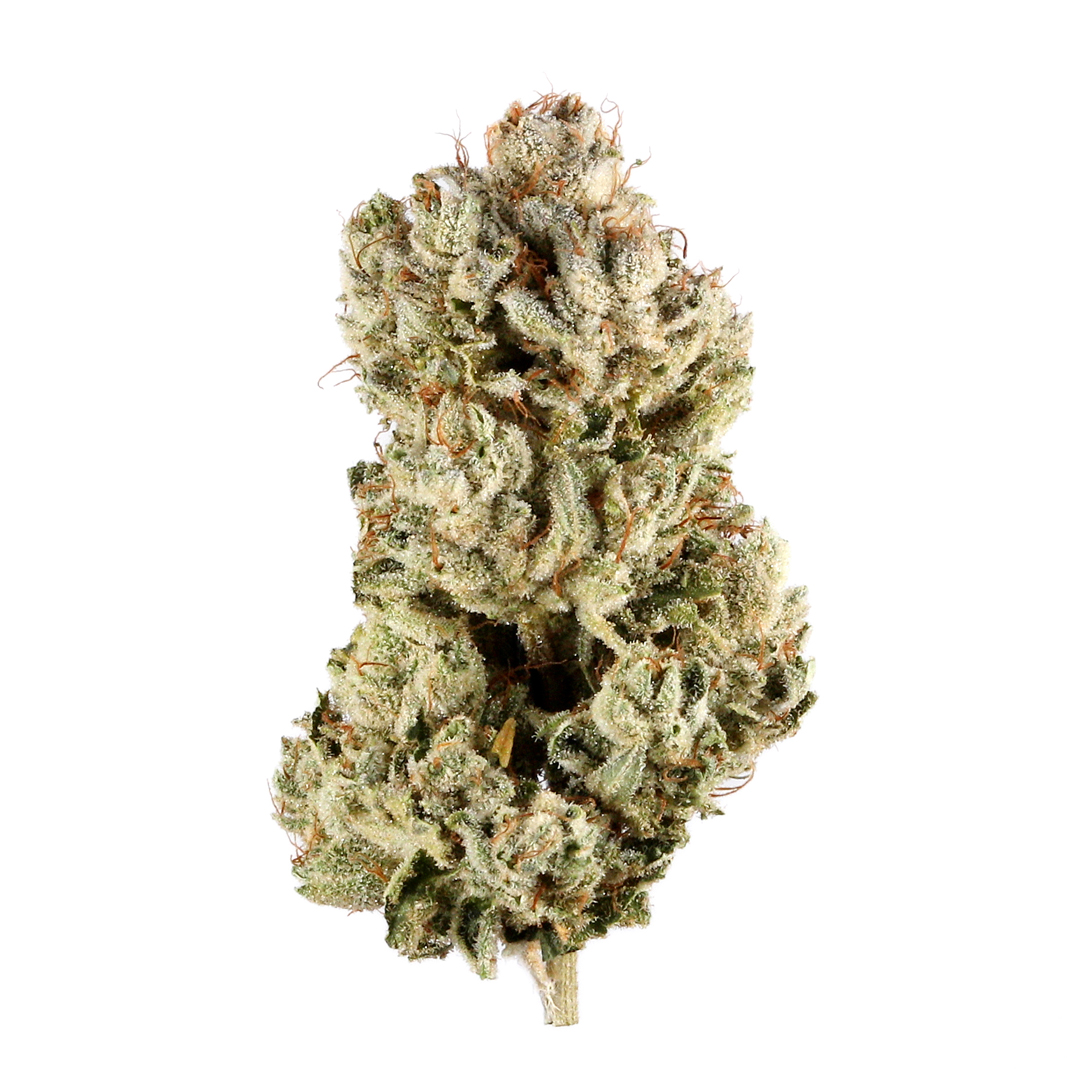 Gorilla Glue Marijuana Strain