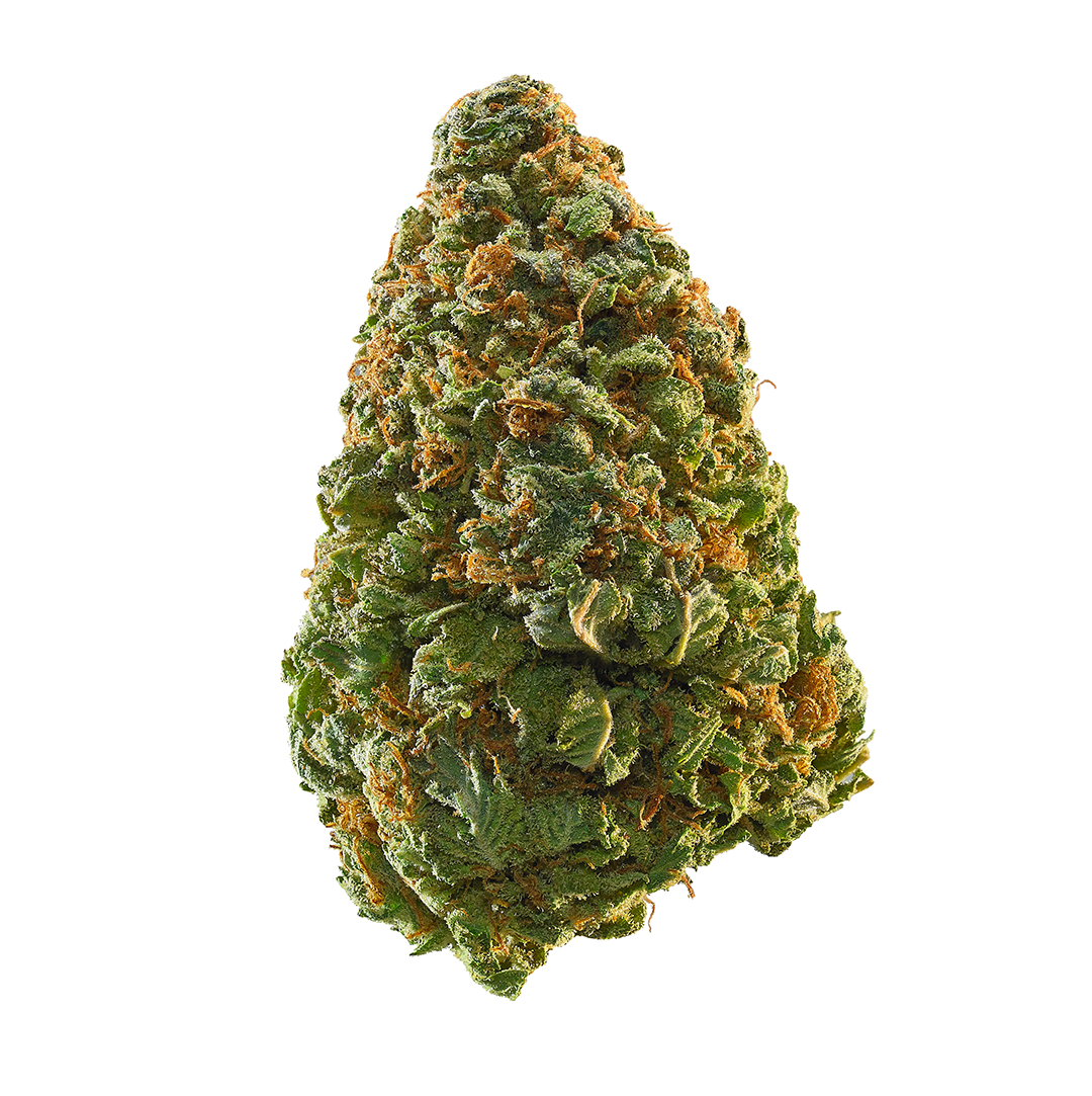 Green Crack aka Green Crush, Mango Crack Weed Strain Information 