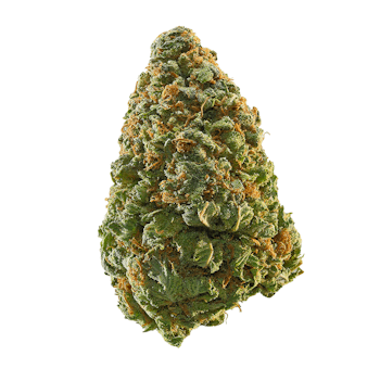 A nug of the Green Crack cannabis strain from Leafly.com