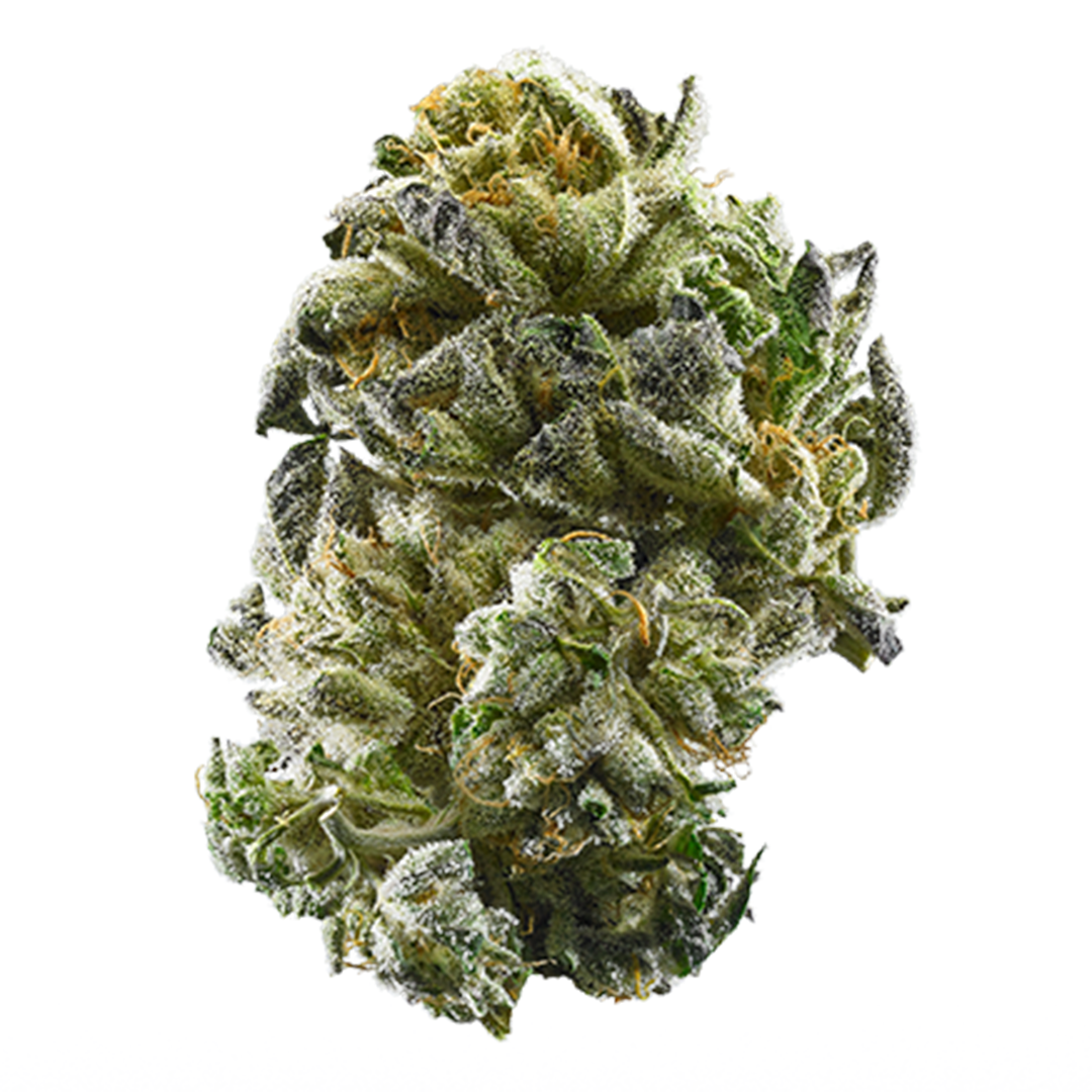 GSC aka Girl Scout Cookies Weed Strain Information | Leafly