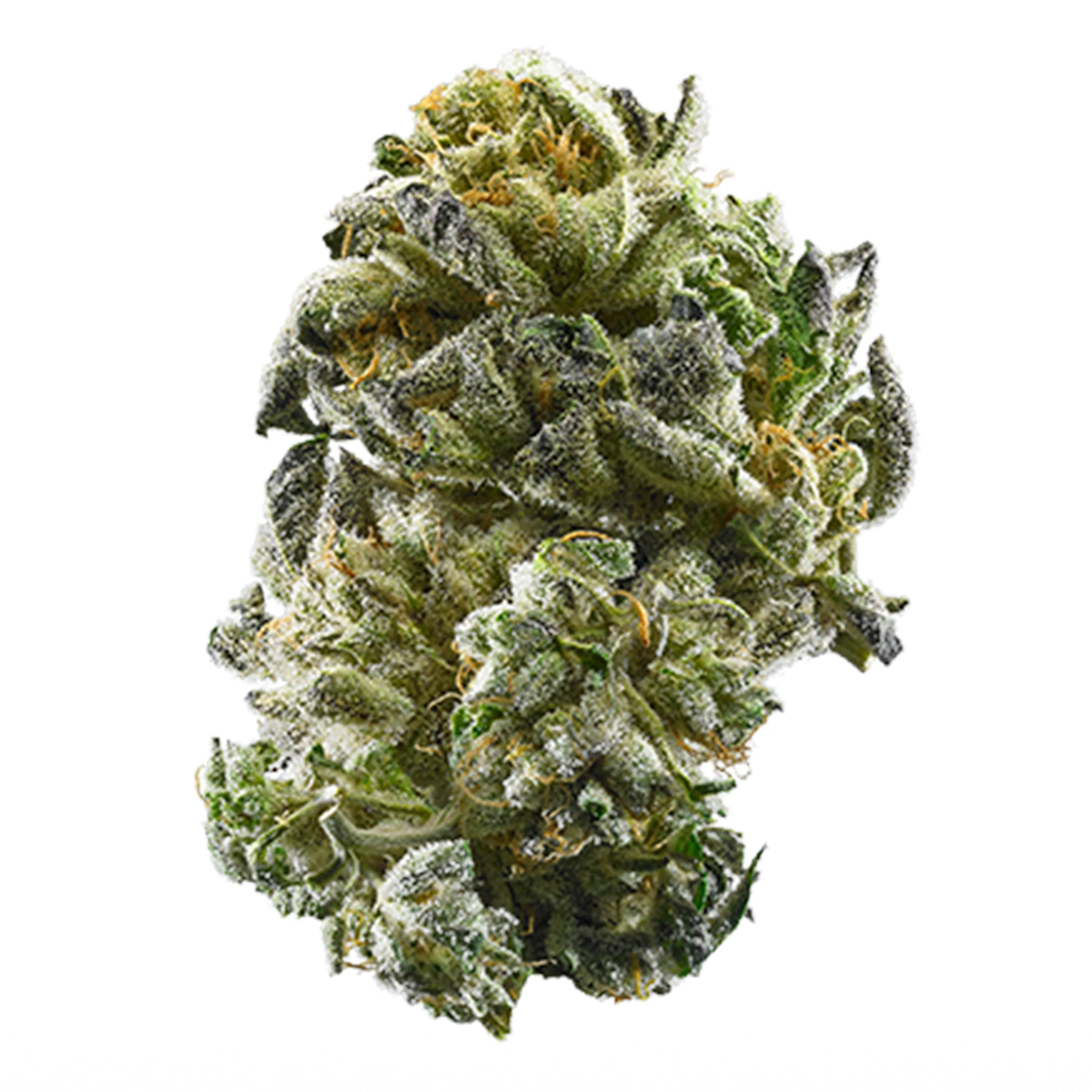 Picture of GSC