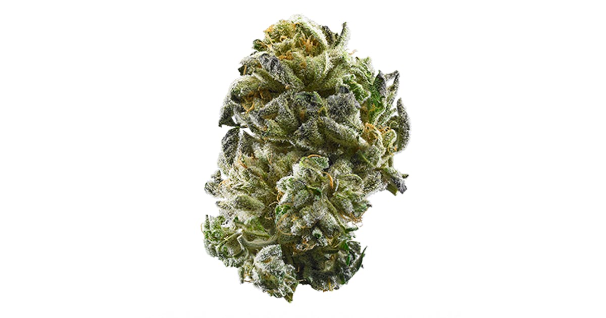 Gsc Aka Girl Scout Cookies Marijuana Strain Information Leafly Gsc Aka Girl Scout Cookies Marijuana Strain Information Leafly