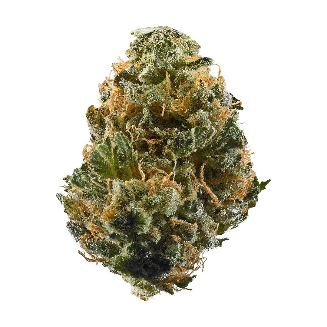 Haze Marijuana Strain