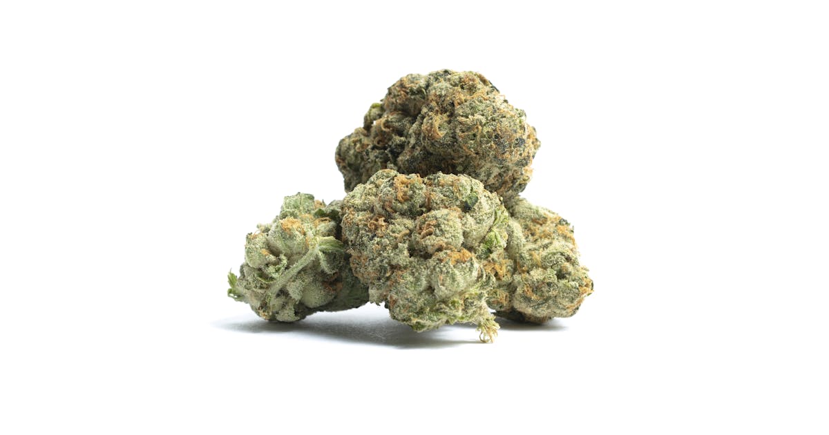 Thin Mint Aka Thin Mint Gsc Thin Mints Thin Mint Cookies Thin Mint Girl Scout Cookies Marijuana Strain Information Leafly Thin Mint Aka Thin Mint Gsc Thin Mints Thin Mint Cookies Thin Mint Girl Scout Cookies Marijuana Strain Information Leafly