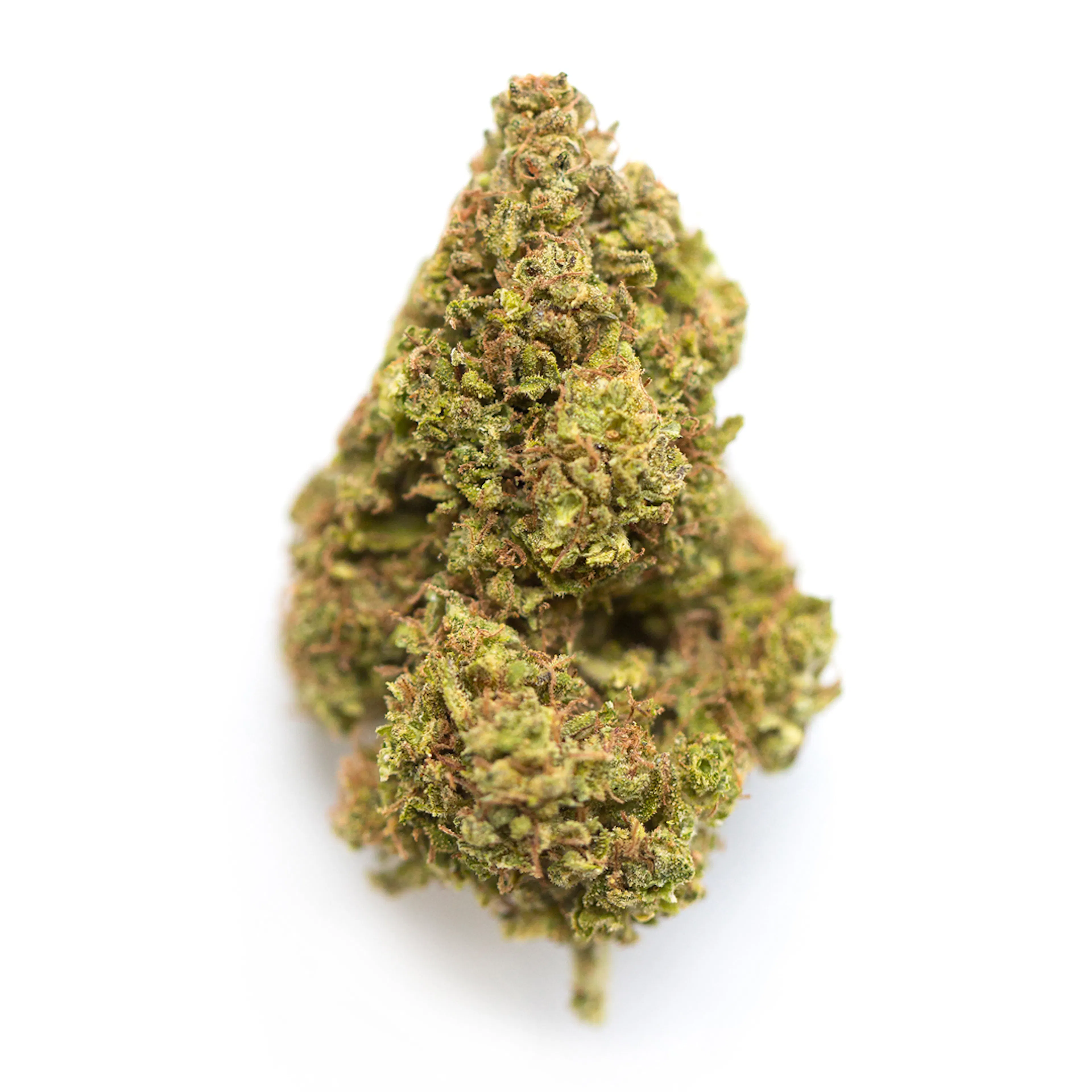 Picture of Jager