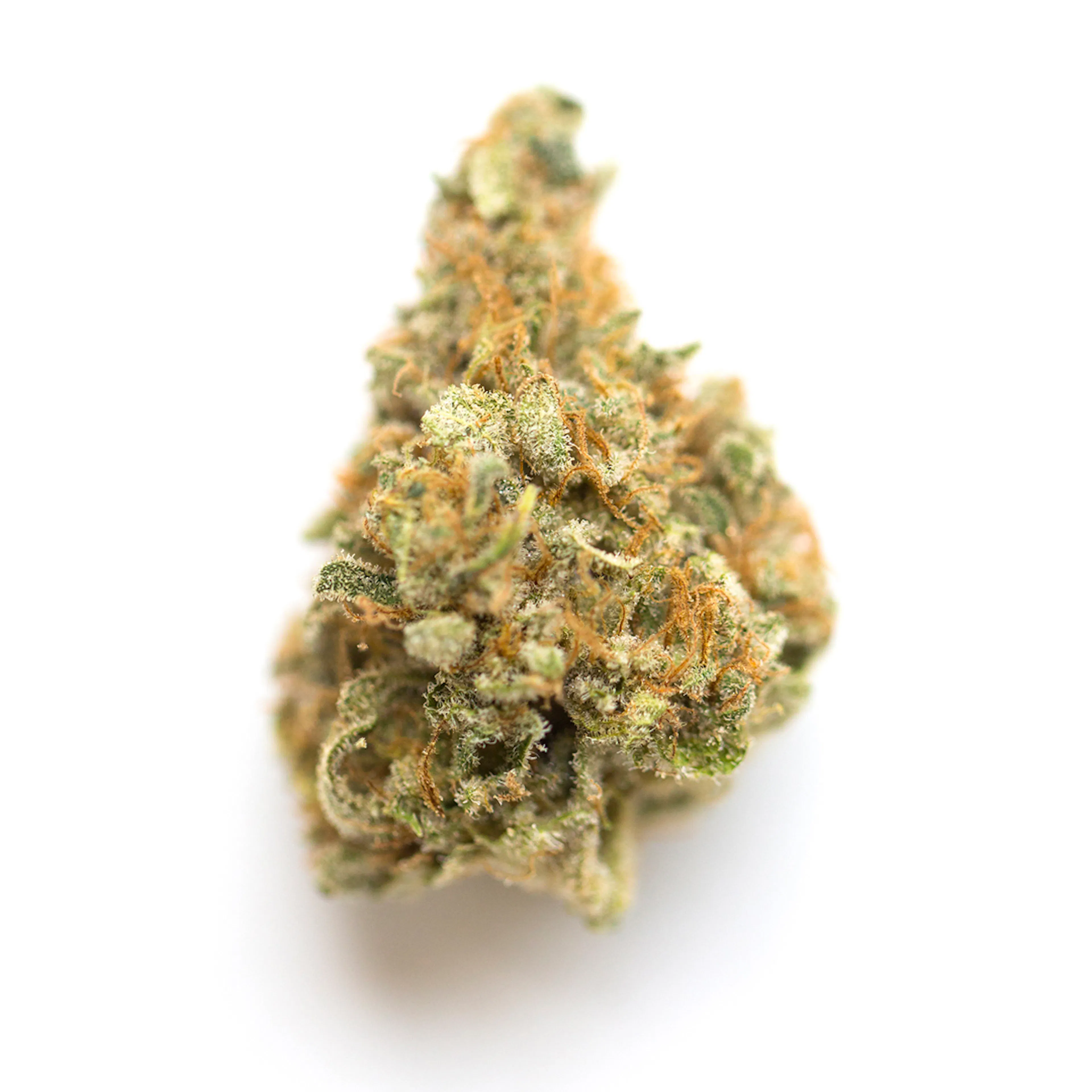 Picture of Mango Kush