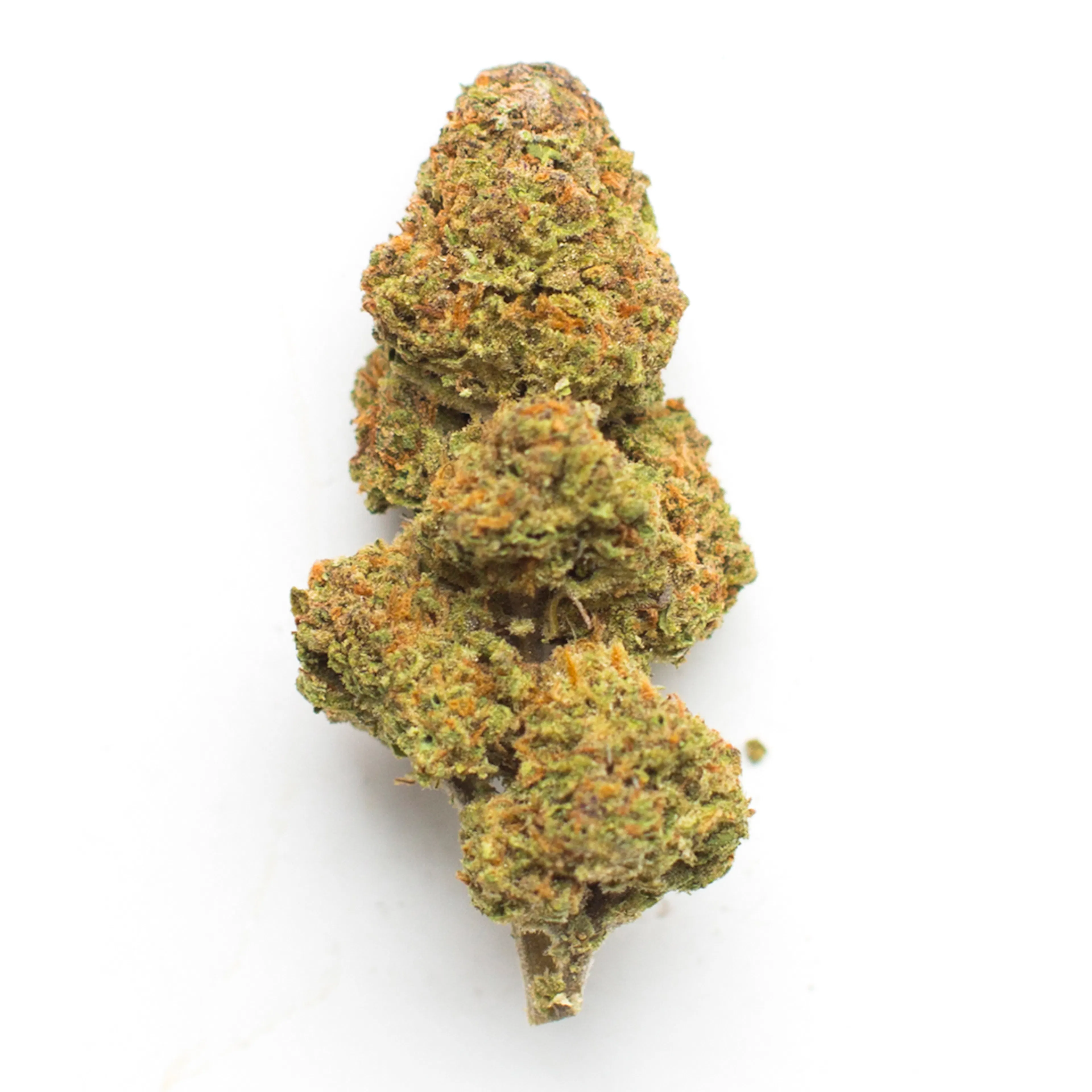 Picture of Monkey Thunder