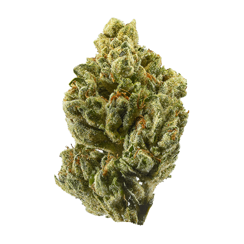 OG Kush THCa flower strain