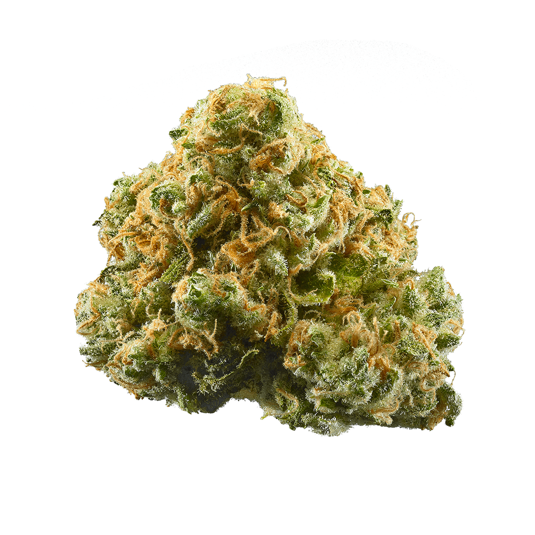 Blue Mystic Strain - Hybrid Cannabis Review, CBD, THC : Hytiva