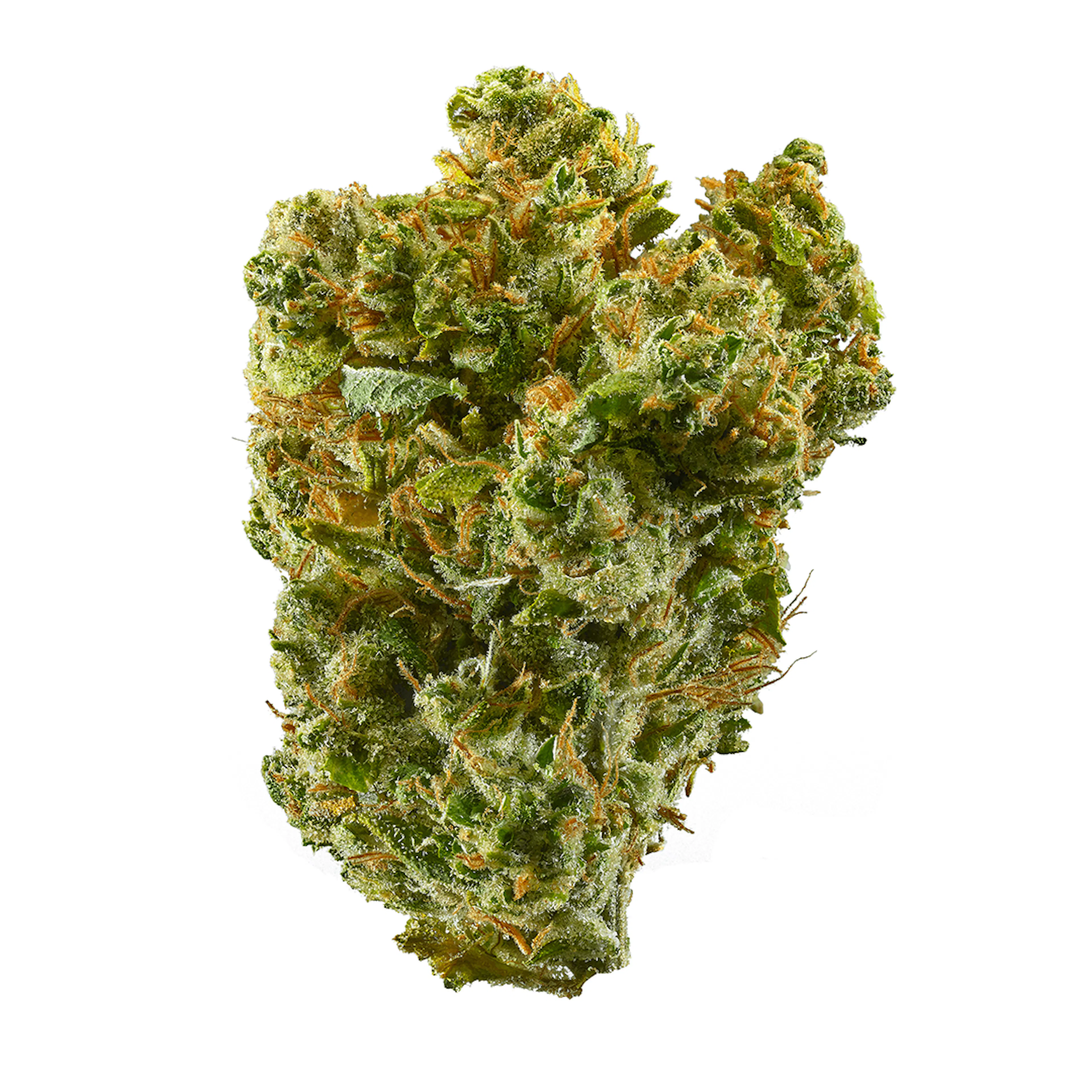 Picture of Super Silver Haze