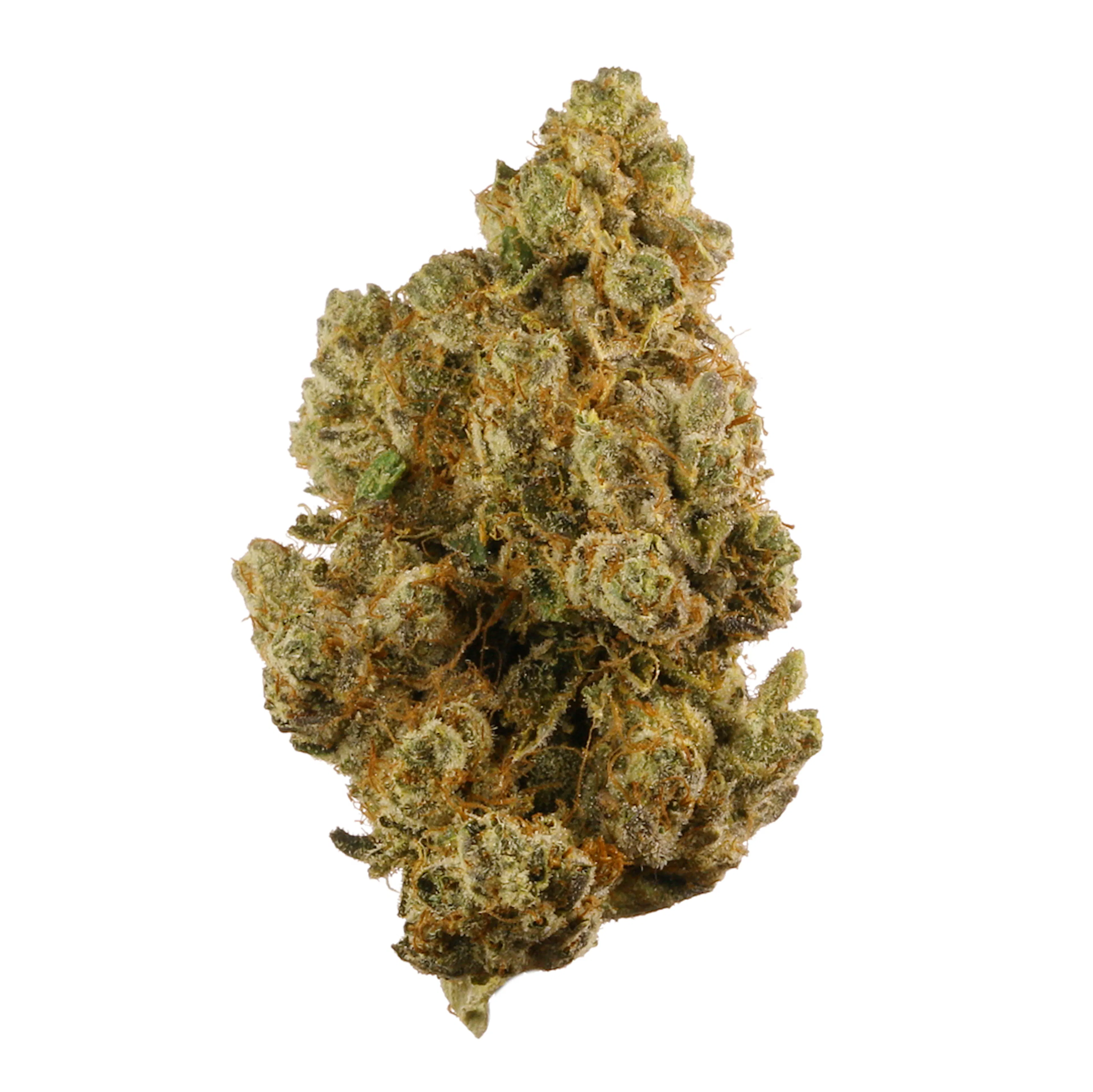 Picture of True OG