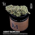 Product image for Agent Tropicana