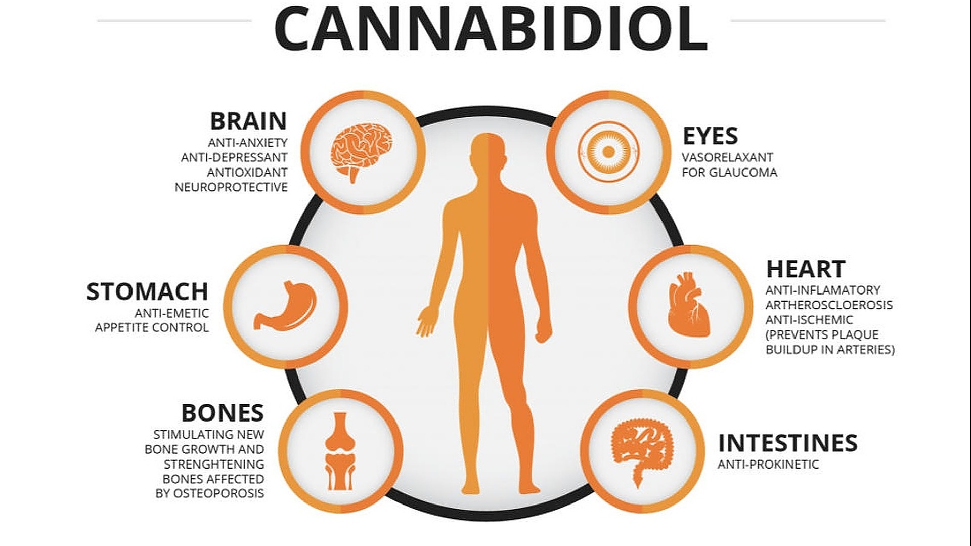 CBD American Shaman Lansing — Dispensaries in Lansing, KS