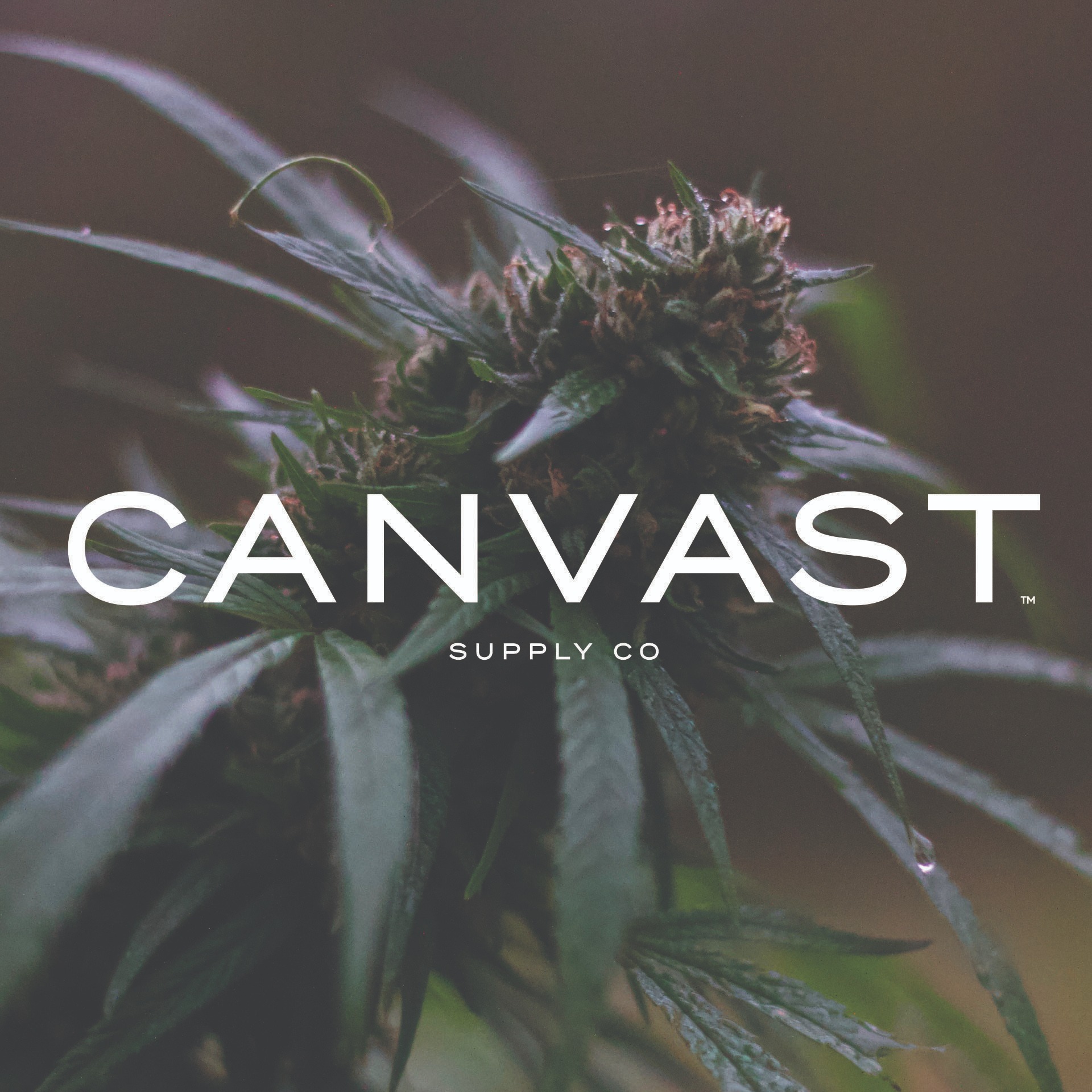 CANVAST Supply Co. Deals Leafly