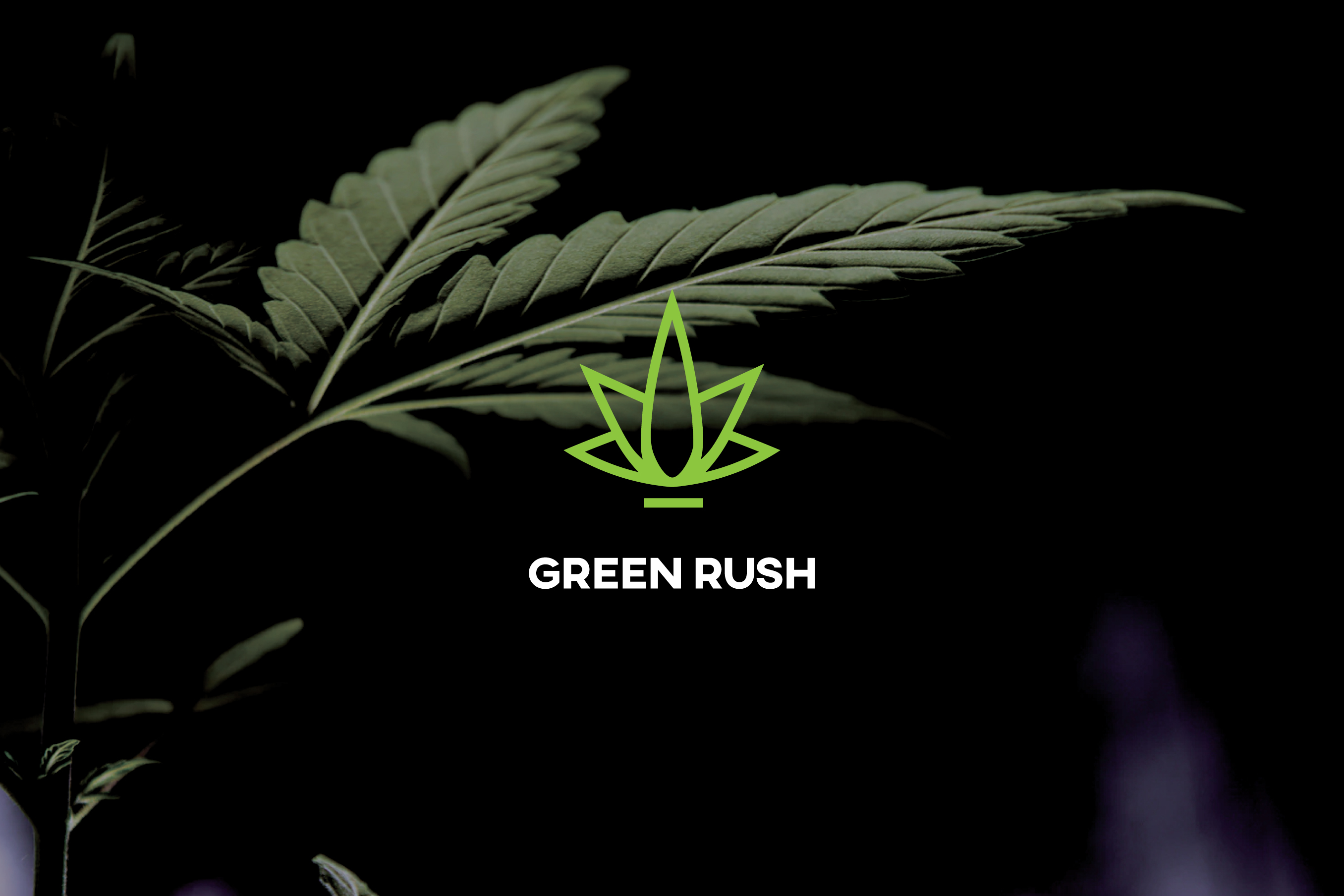 Green Rush Cannabis Scarborough, ON Dispensary Leafly