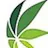Trenton Cannabis logo