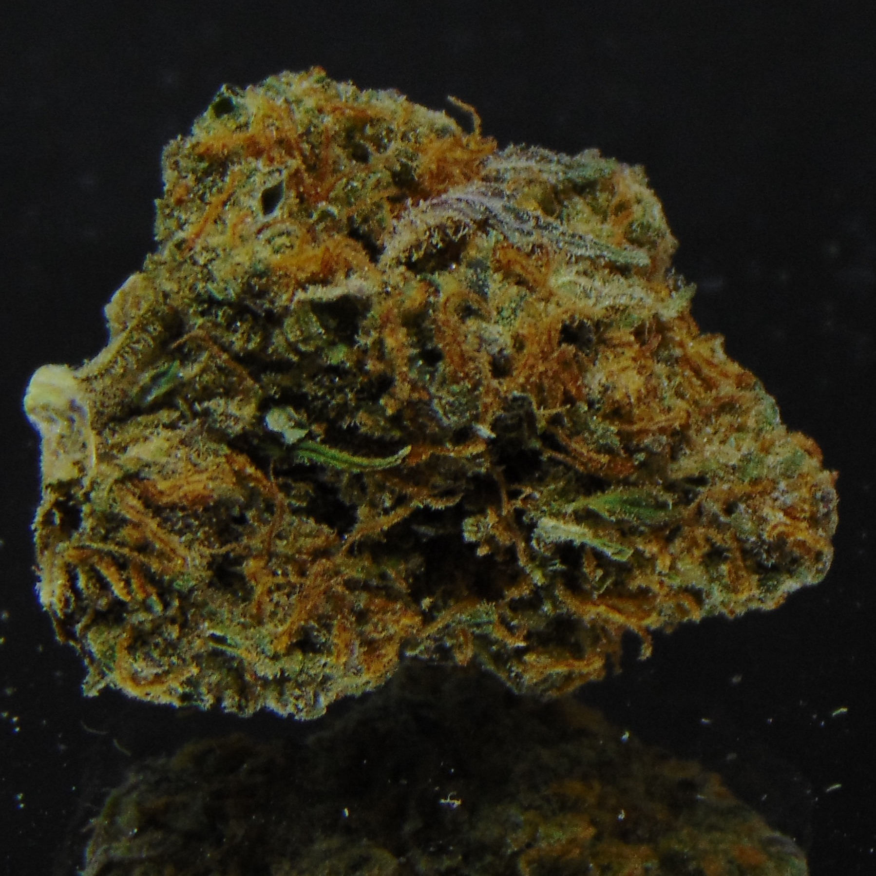 Kind Leaf Pendleton Menu Leafly