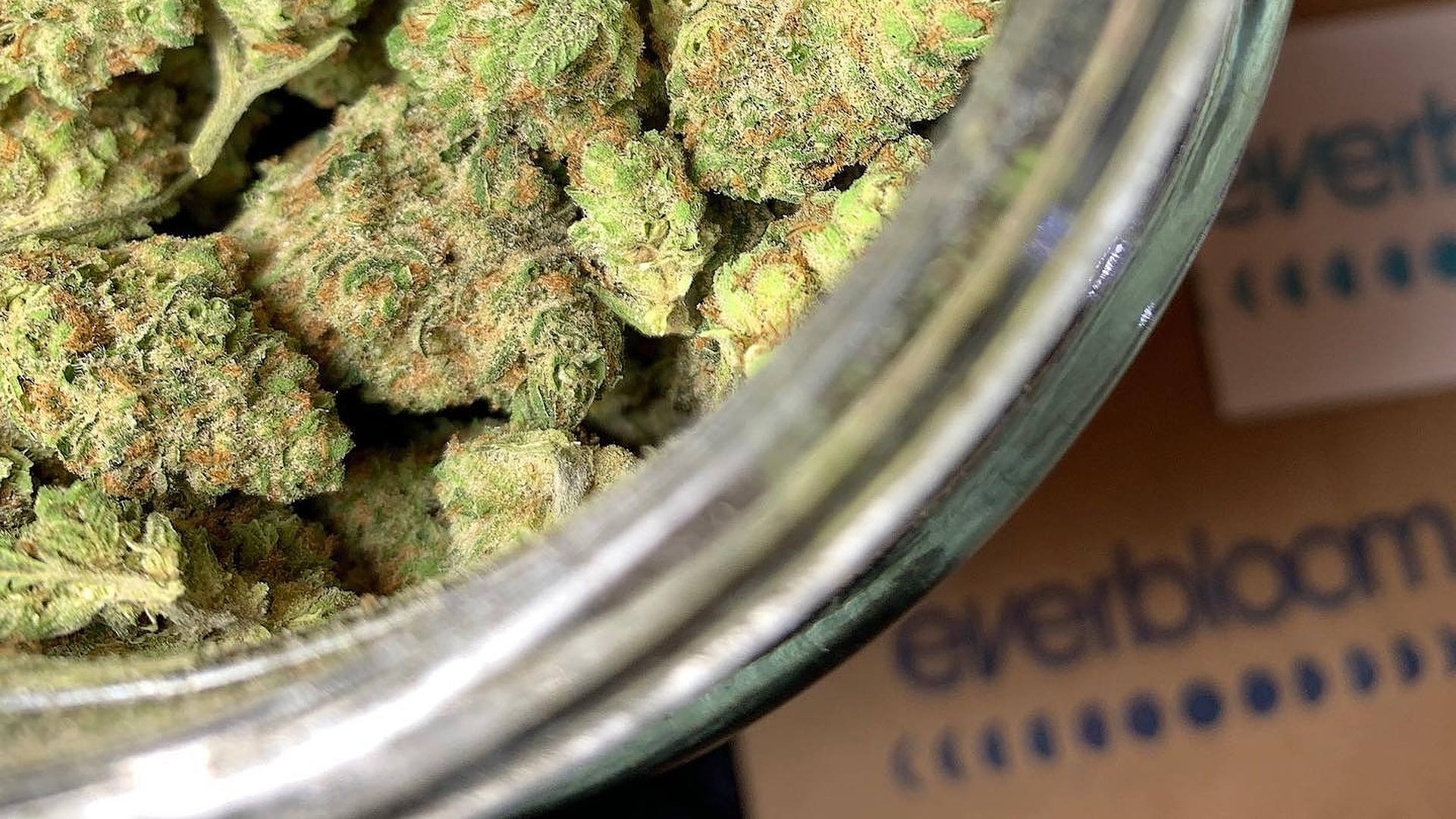EverBloom - Race Street (Rec/Med) — Dispensaries in Denver, CO