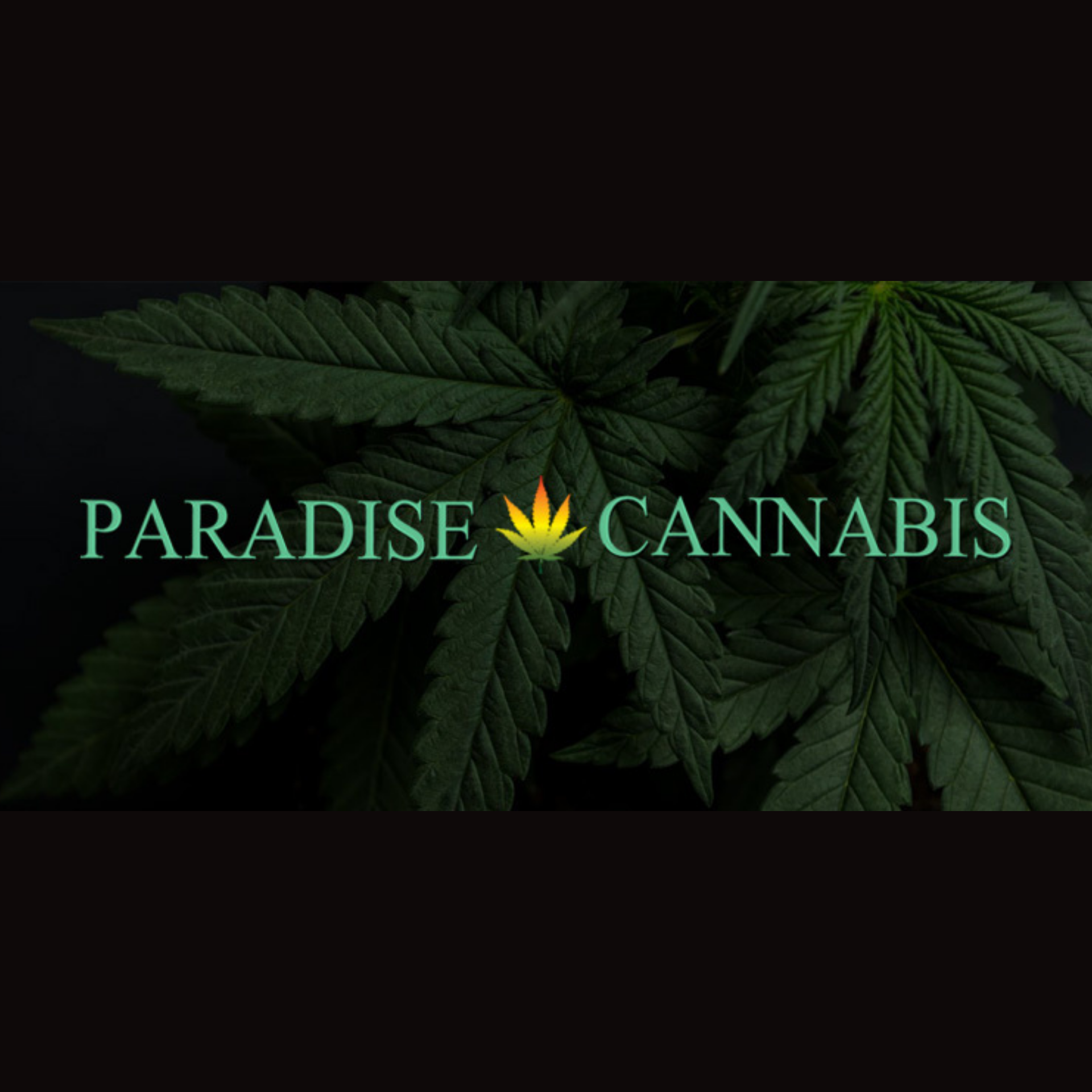 Cannabis & Onlyfans:  A Forbidden Paradise? - bkscdjq