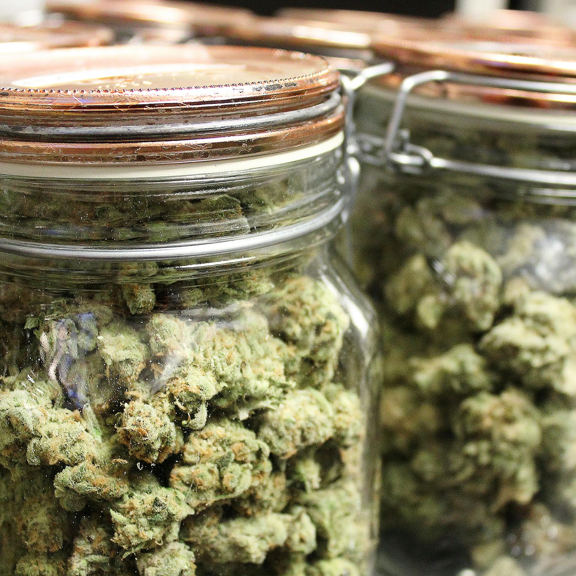 The Only Mushroom Dispensary You'll Ever Need